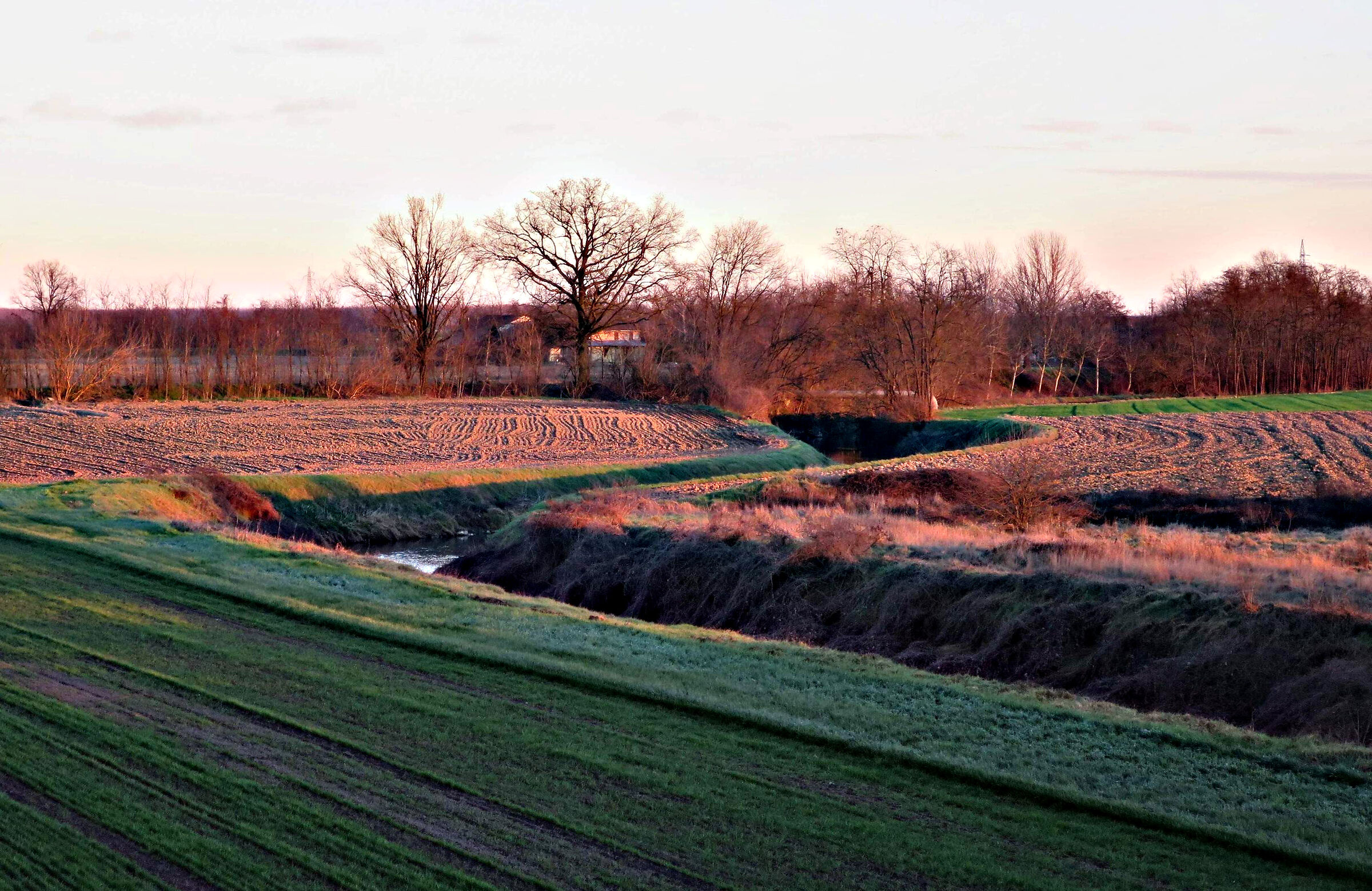 Last light in the floodplain