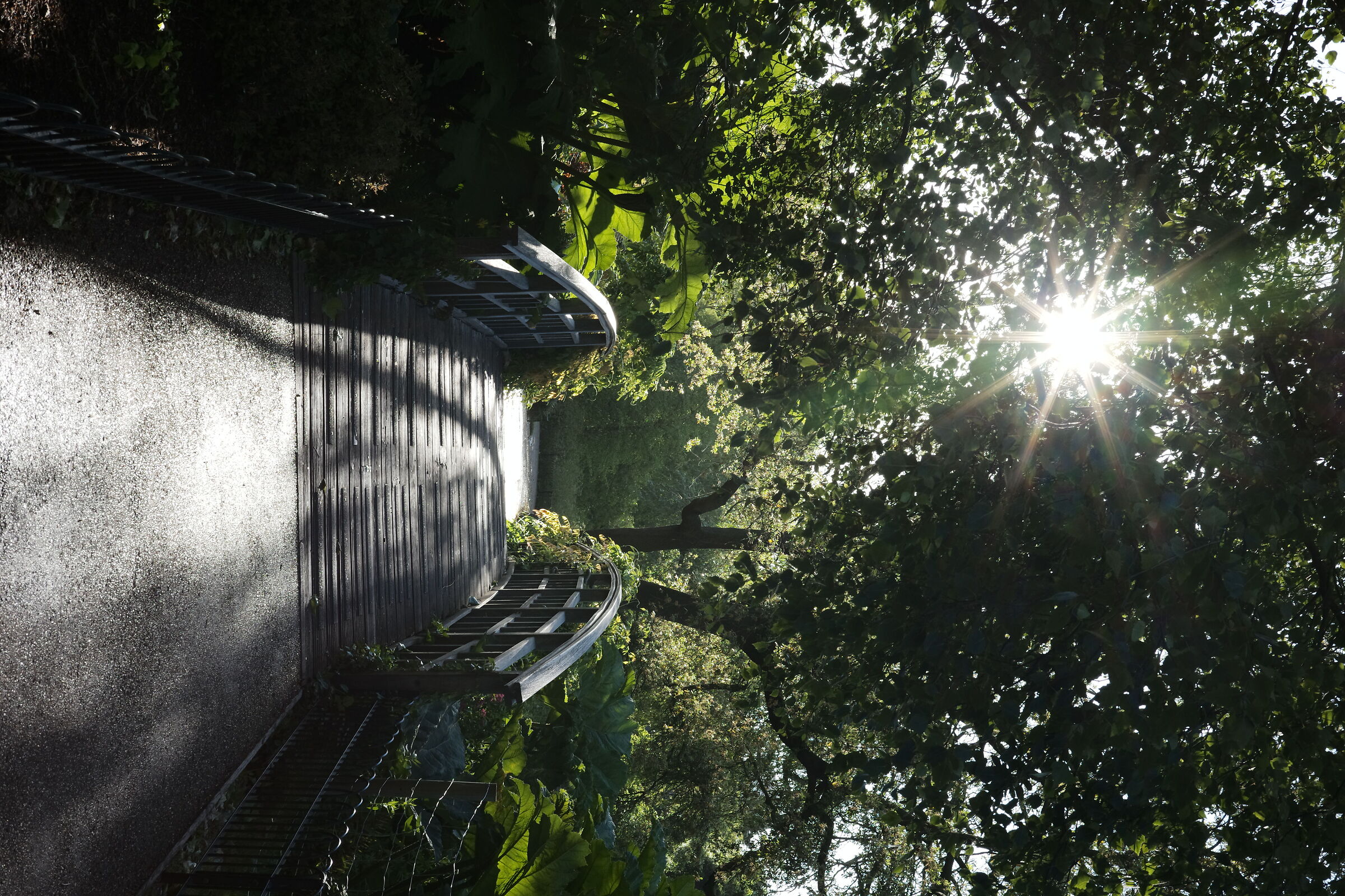 Japanese Garden Island