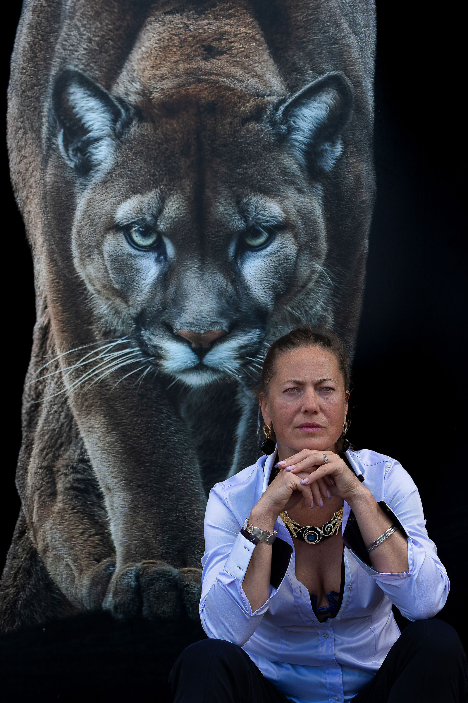 Felines