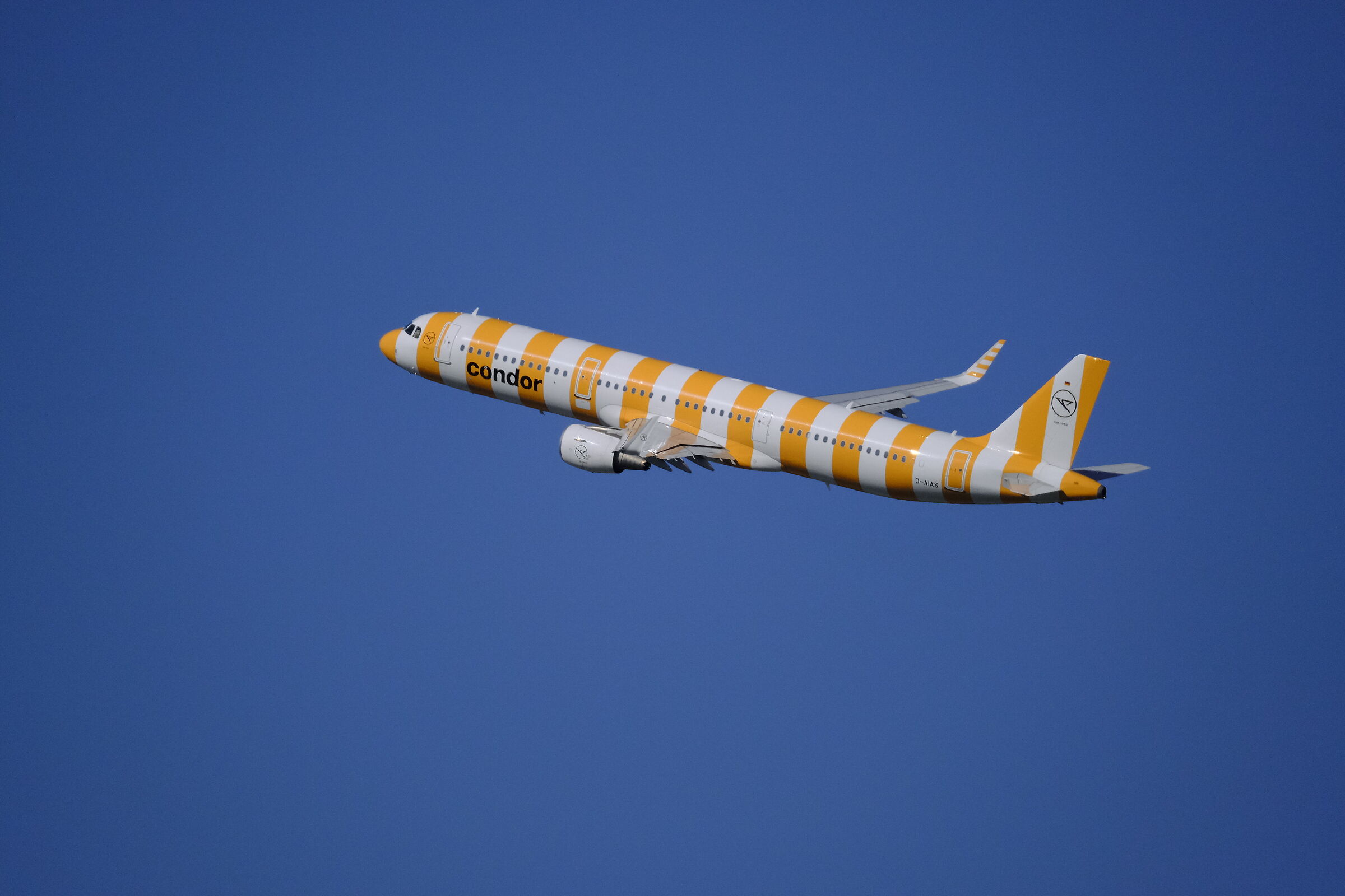 Condor
