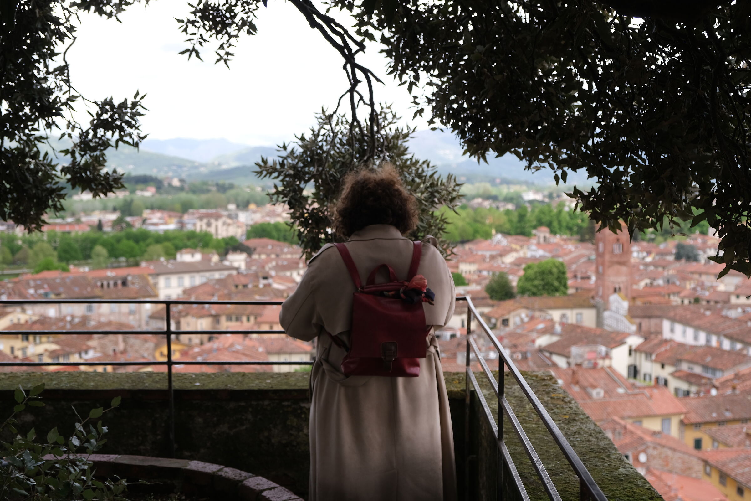 Il castello nel cielo