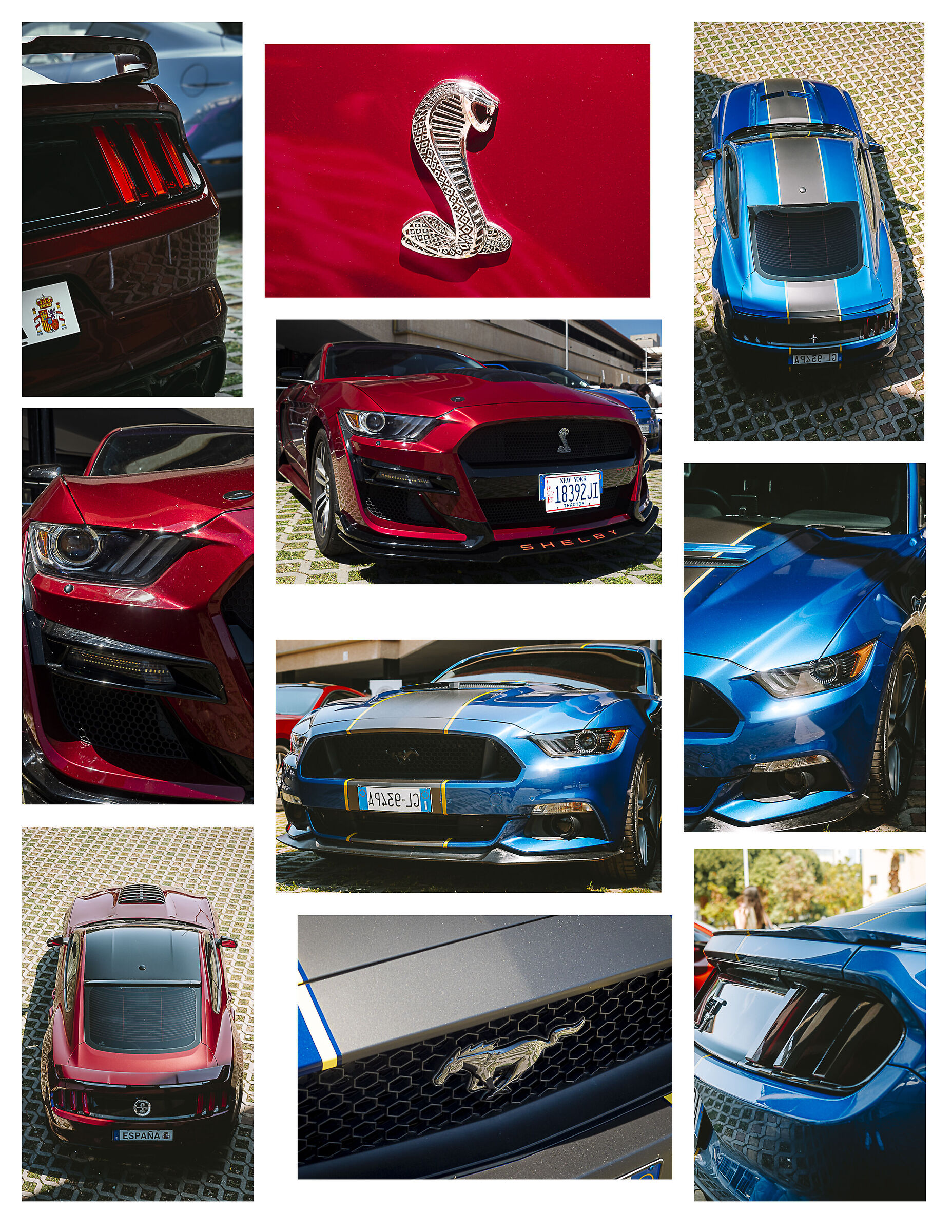 American muscles