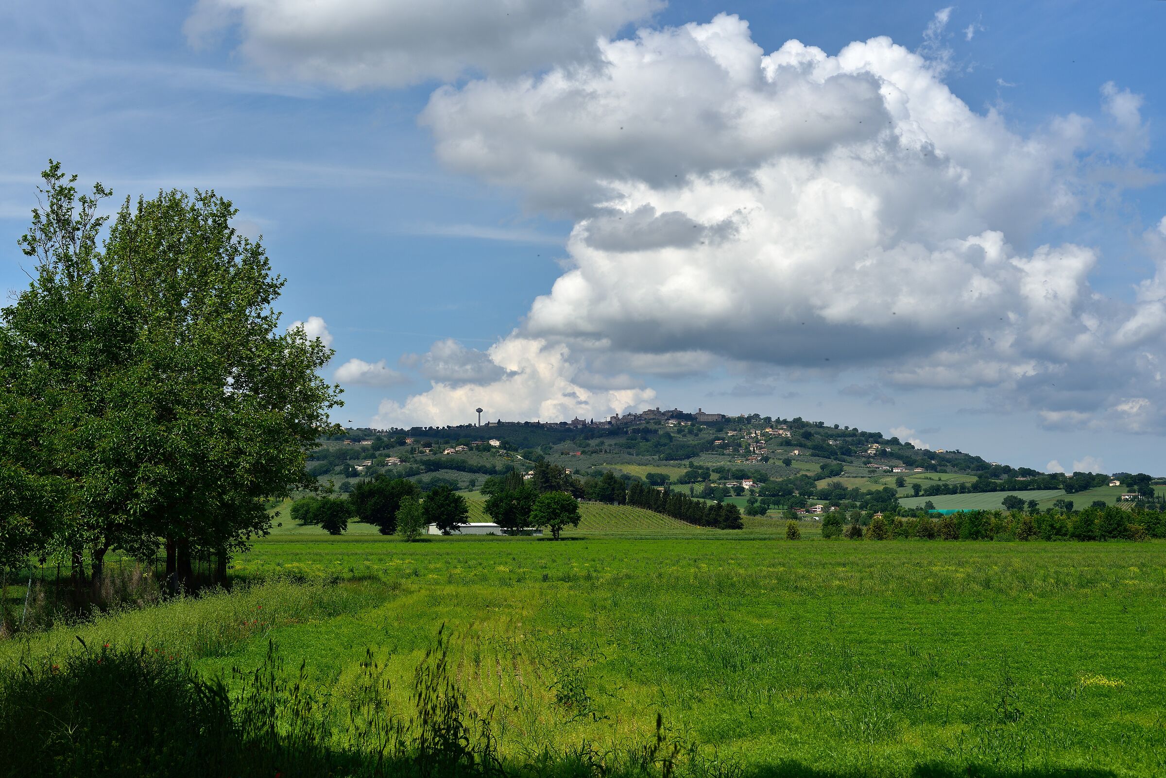 Umbrian countryside, Montefalco in the background