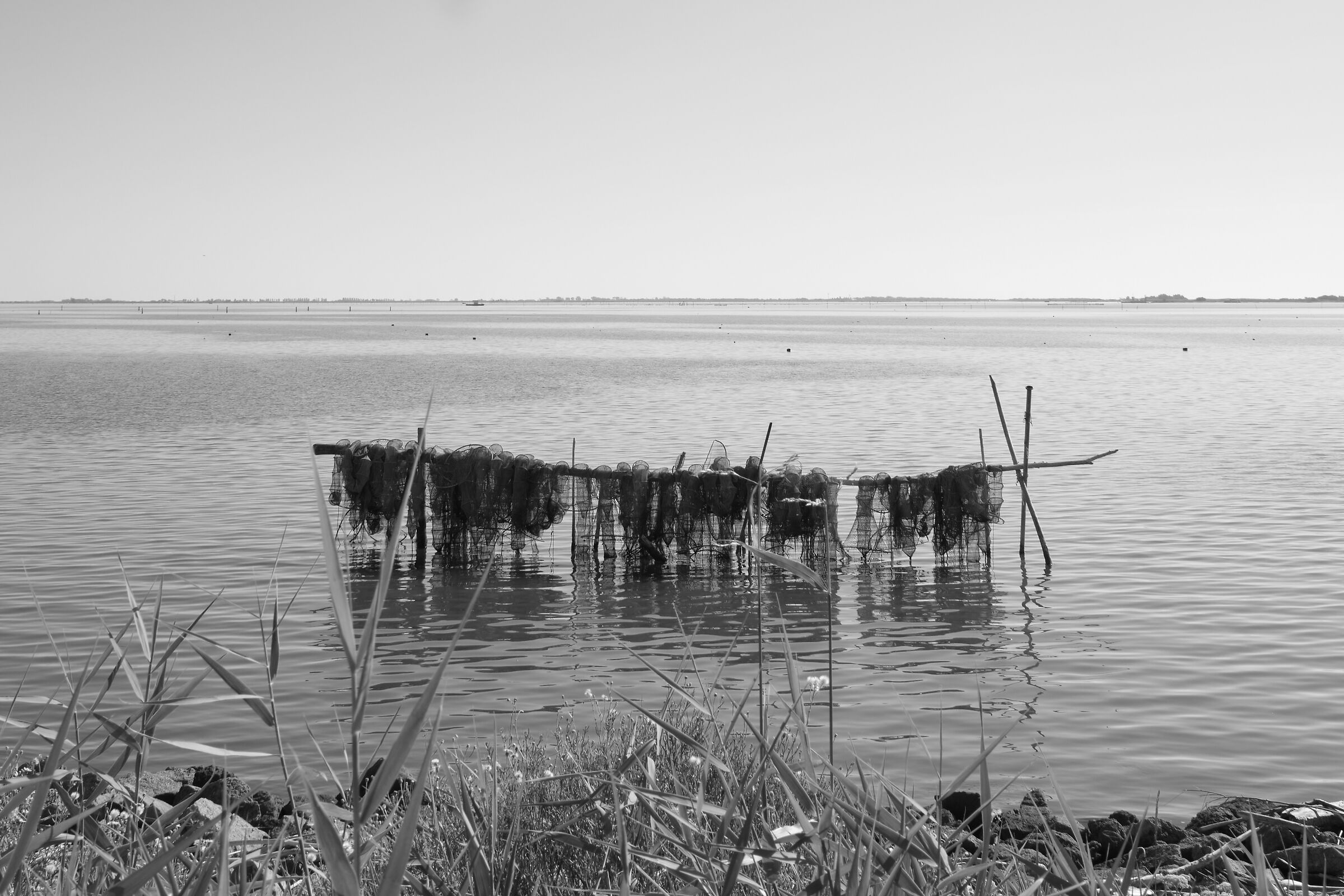 Polesine and delta of OP 4