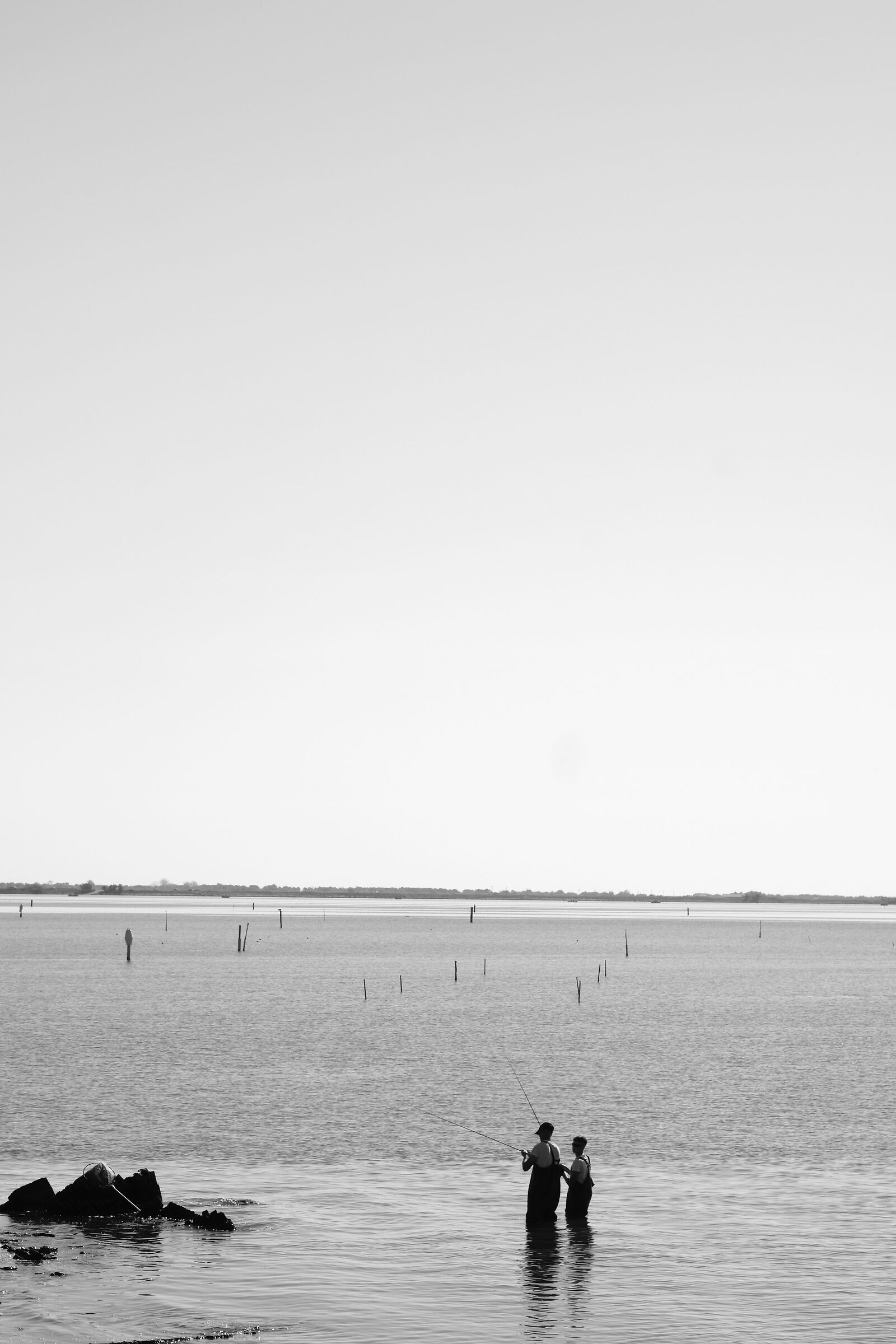 Polesine and delta of OP 6