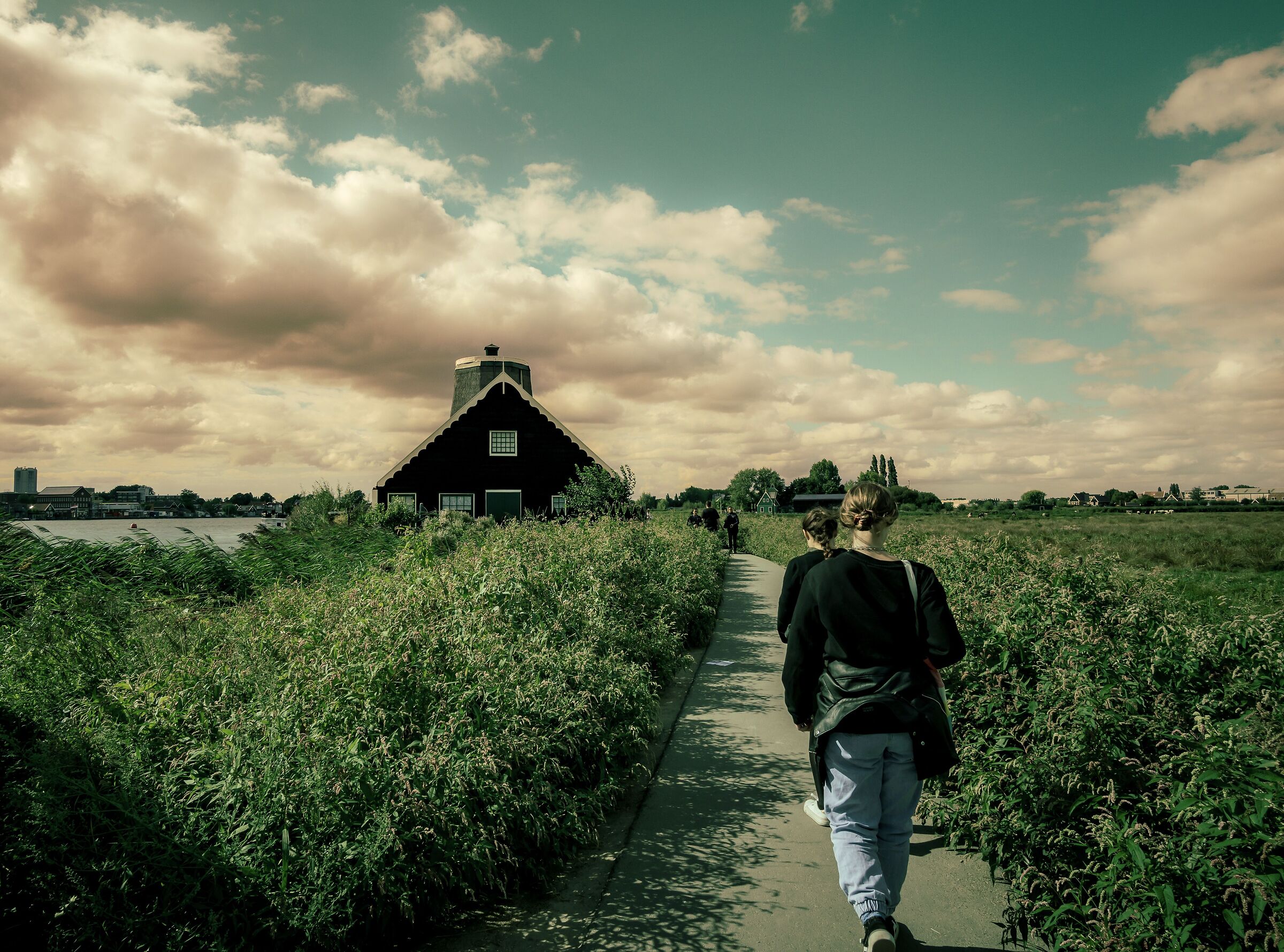 Untitled Photo