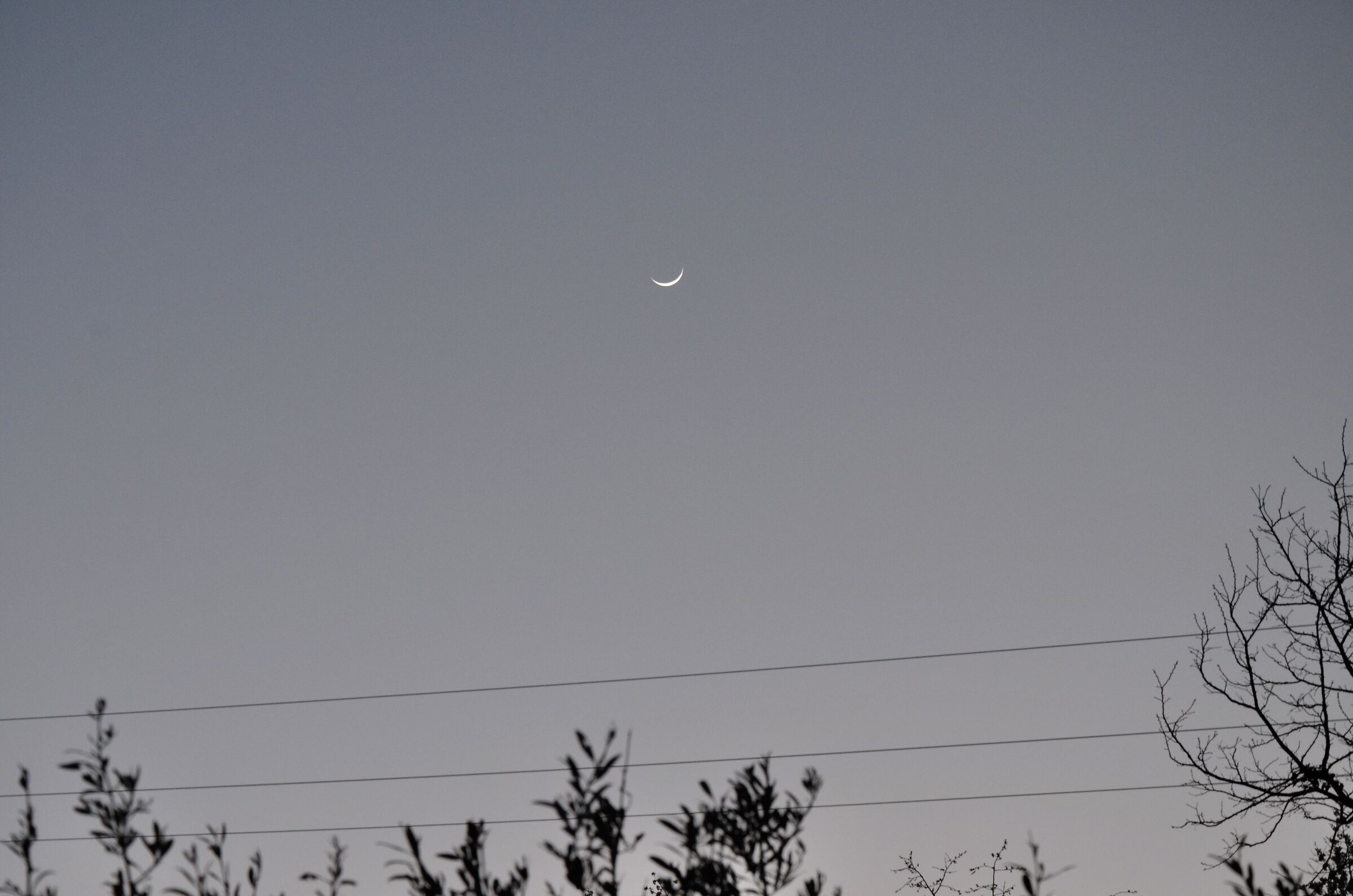 Evening Moon