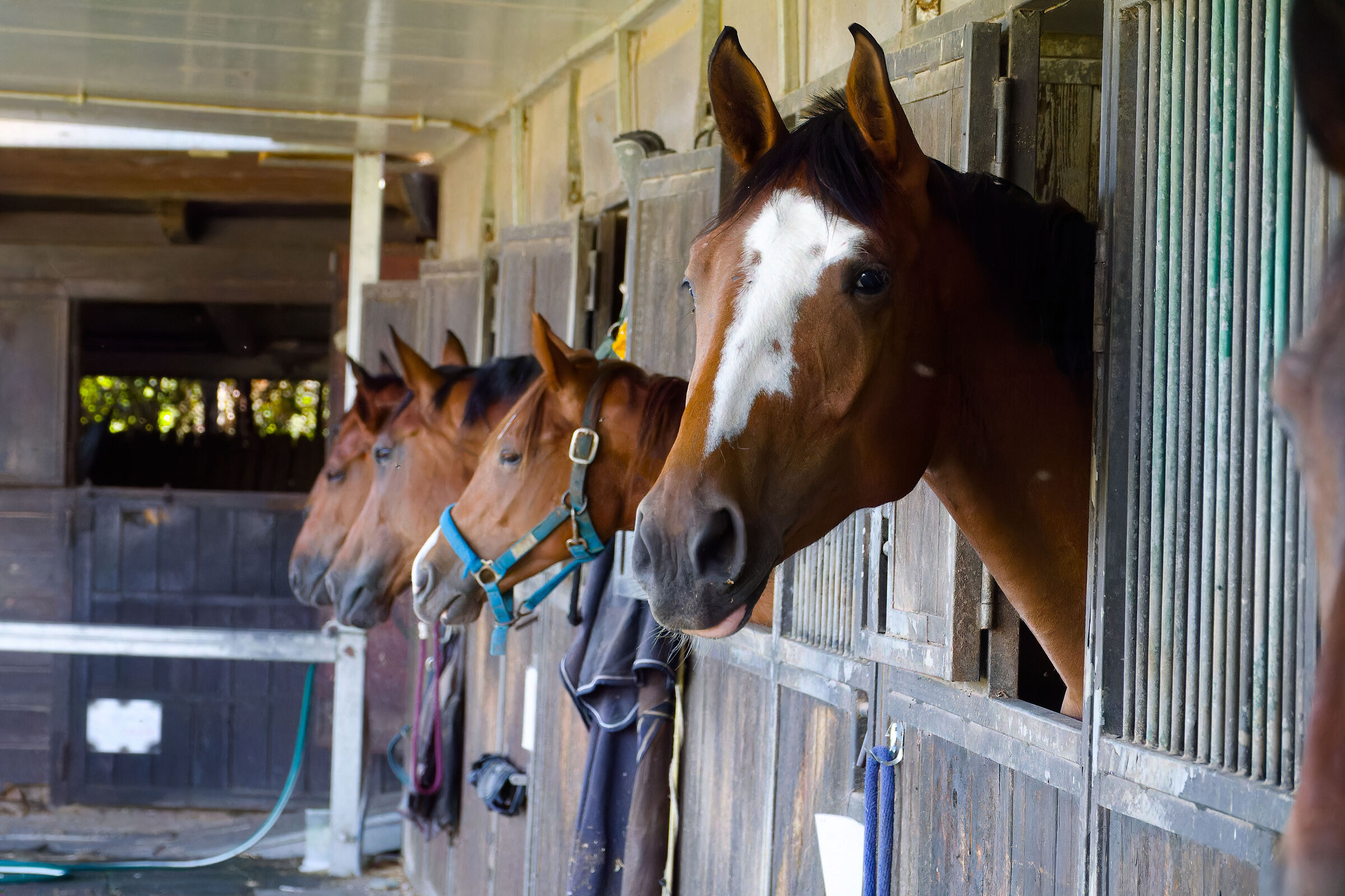 Test Sony rx10 IV - 6400 iso - DXO