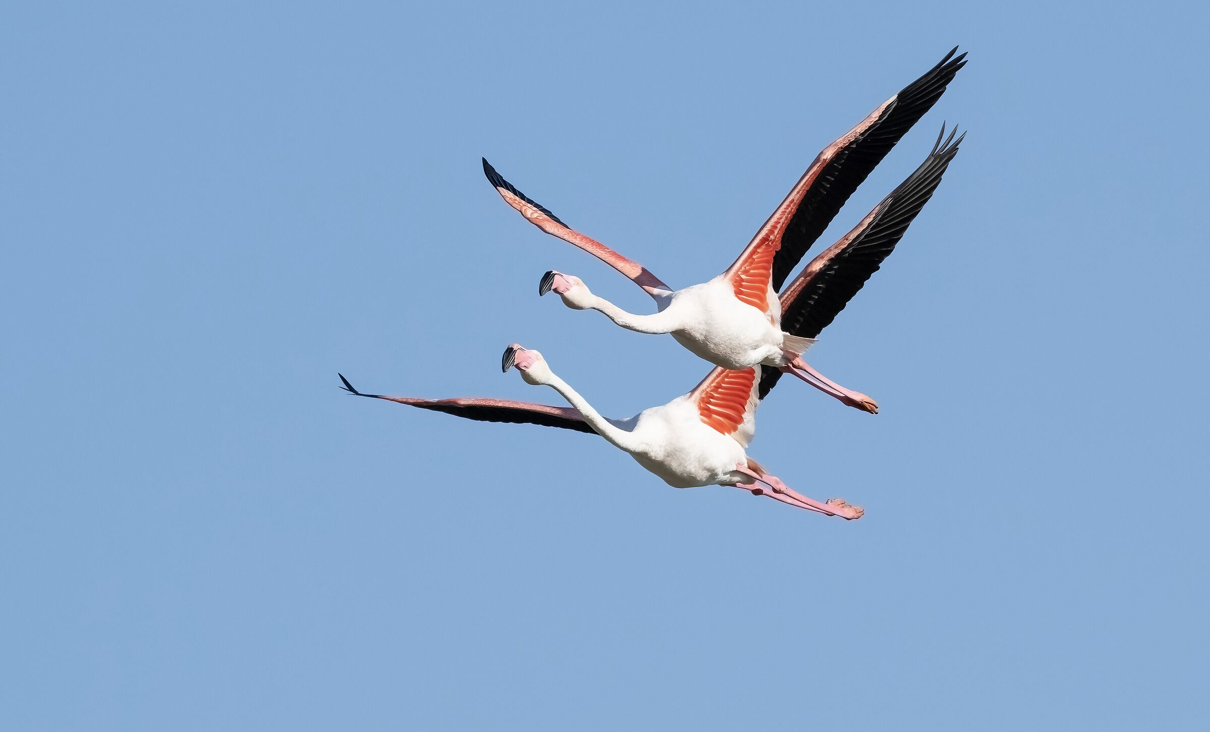 Synchronous tendem flight