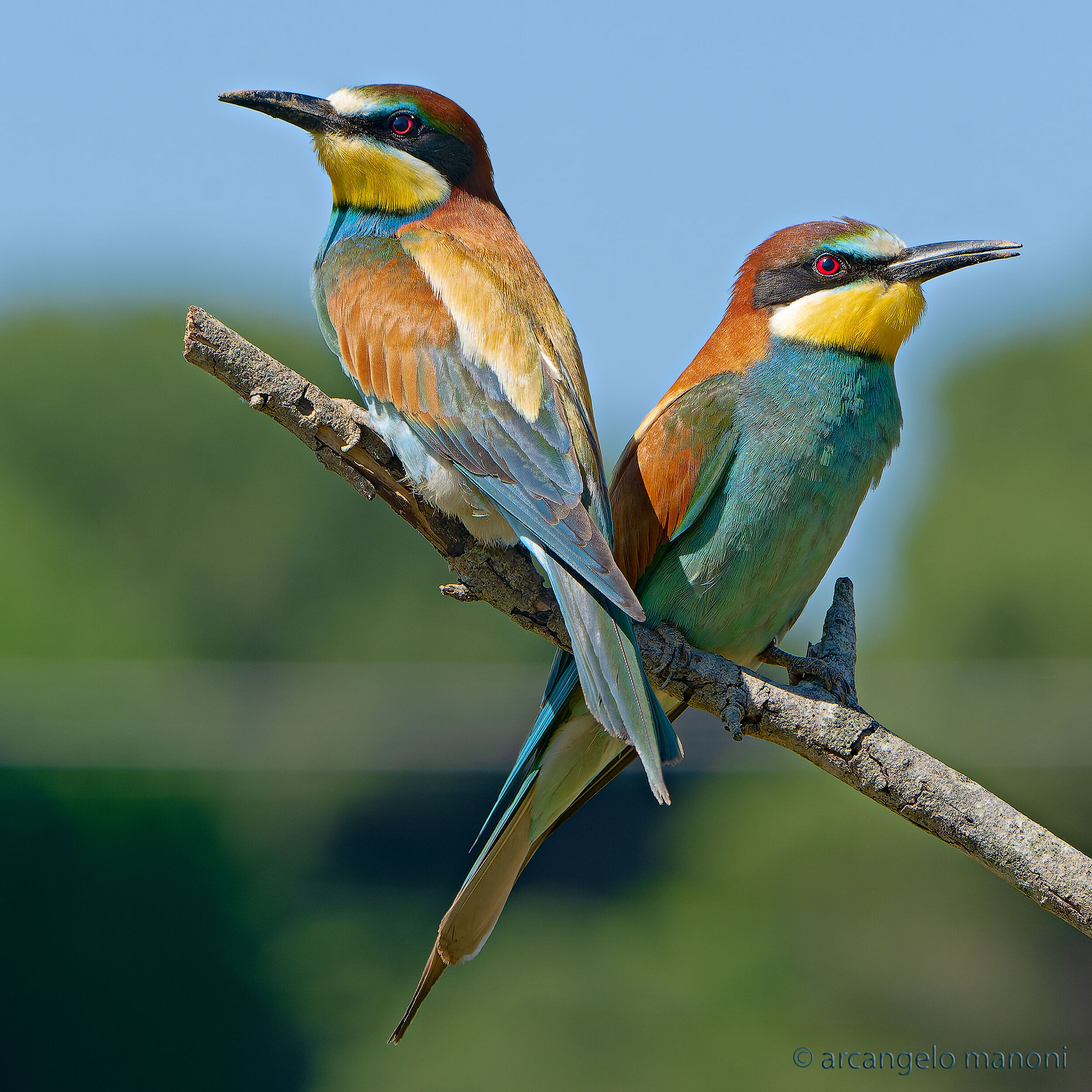Contrapposti in foto, uniti nella vita!