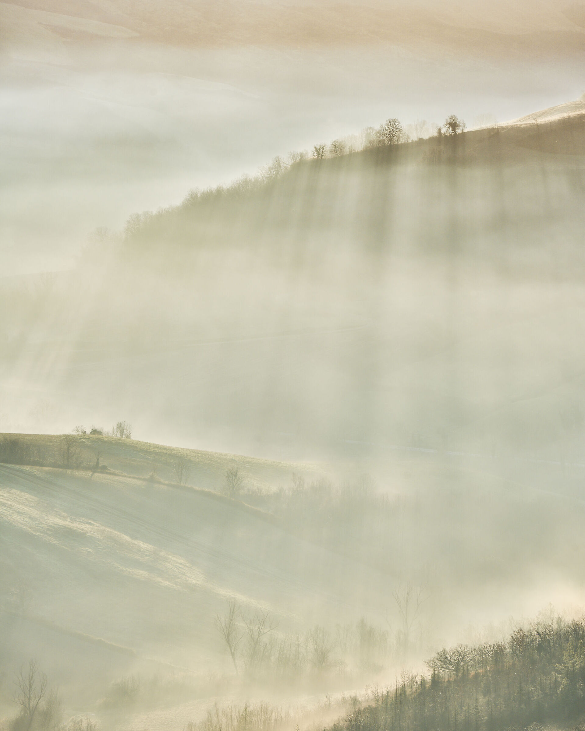 Through light and mist