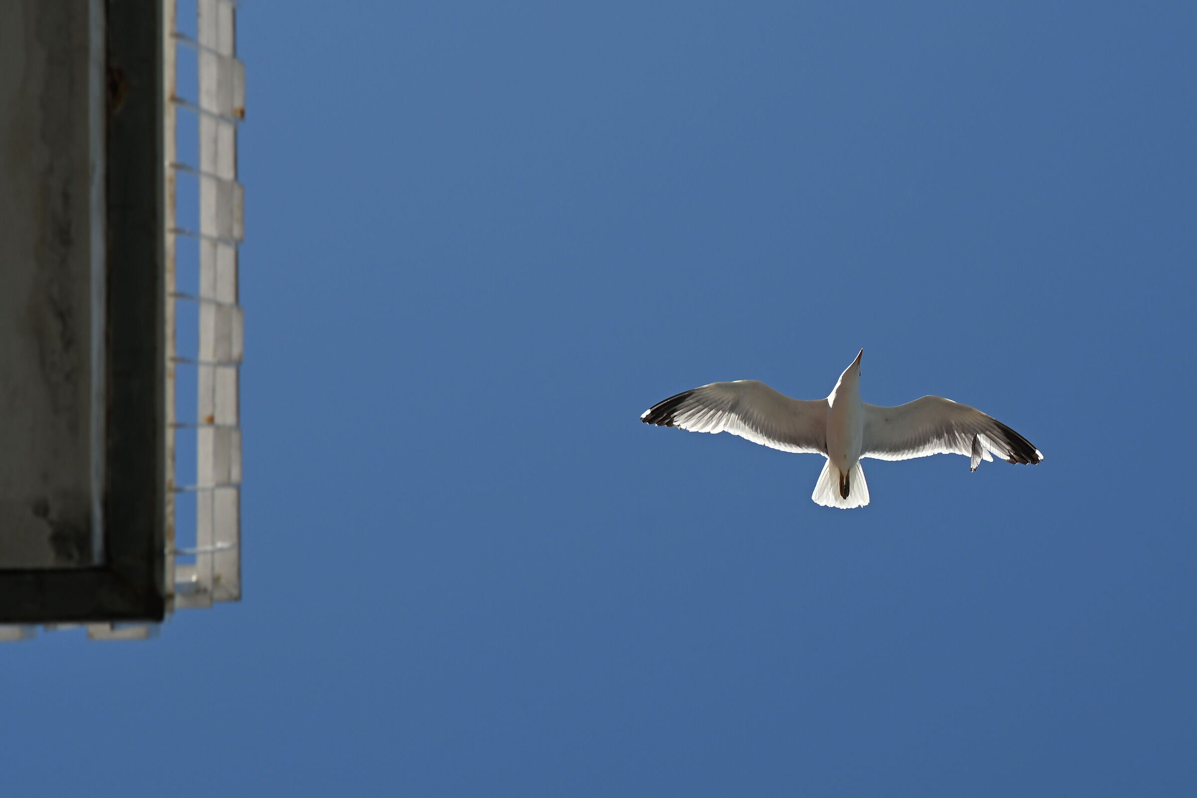 imperfezione perfetta