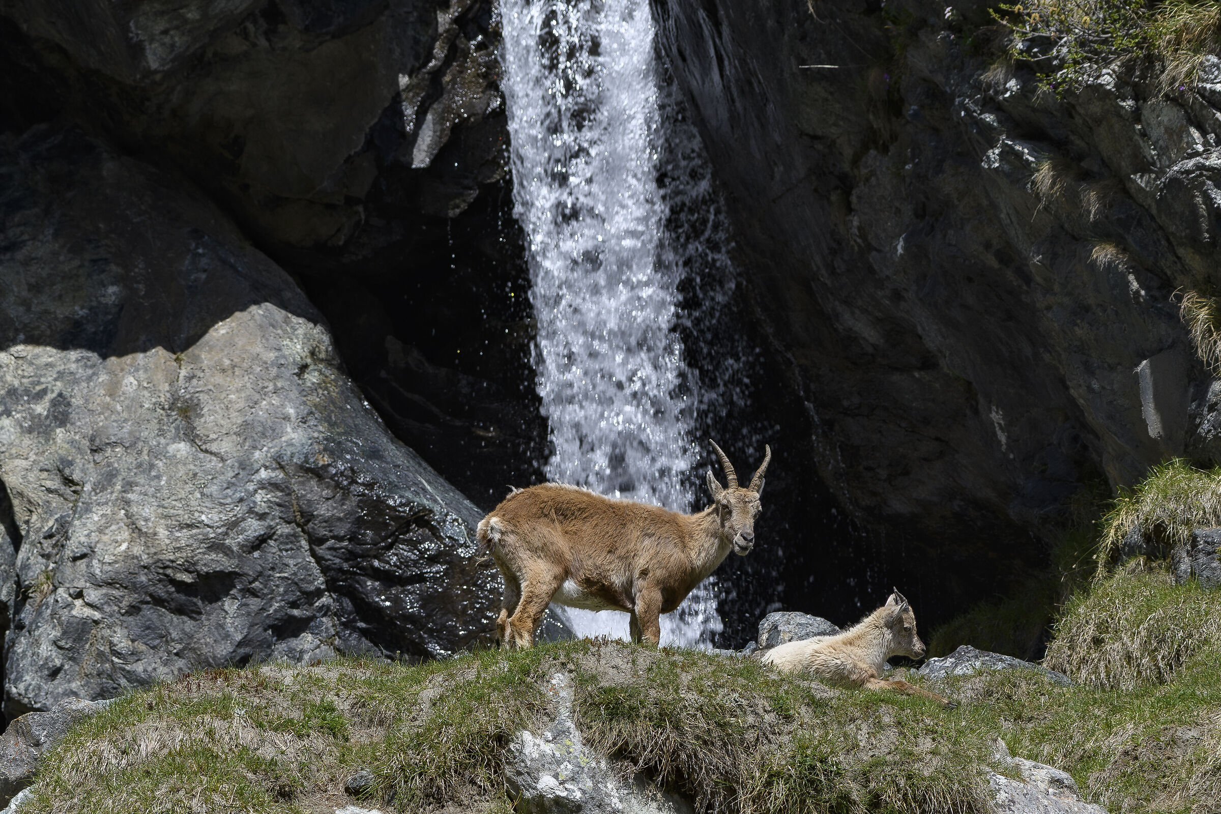 Chiare, fresche et dolci acque