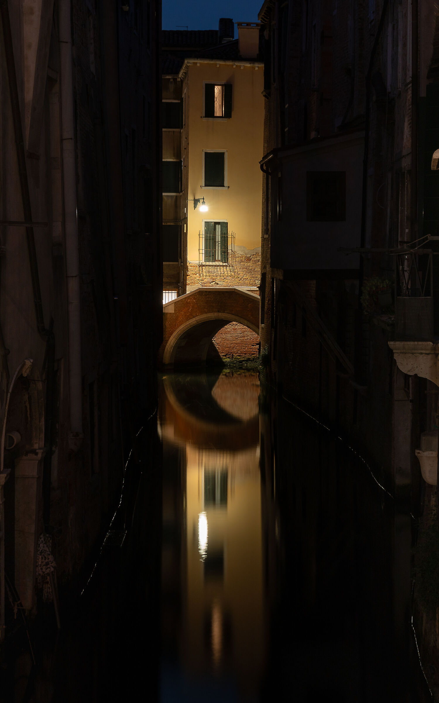 Untitled Photo