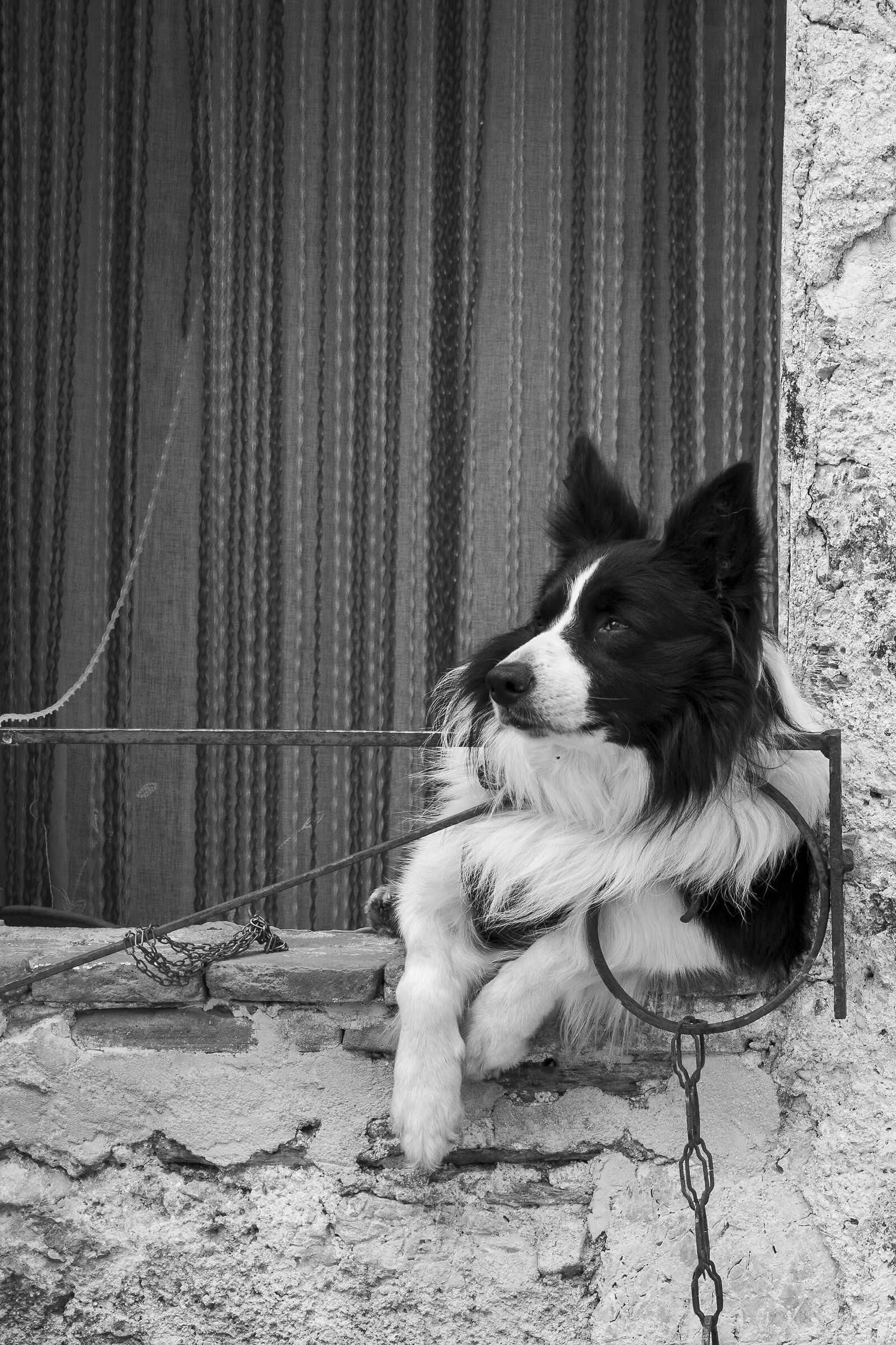 Cane Relax