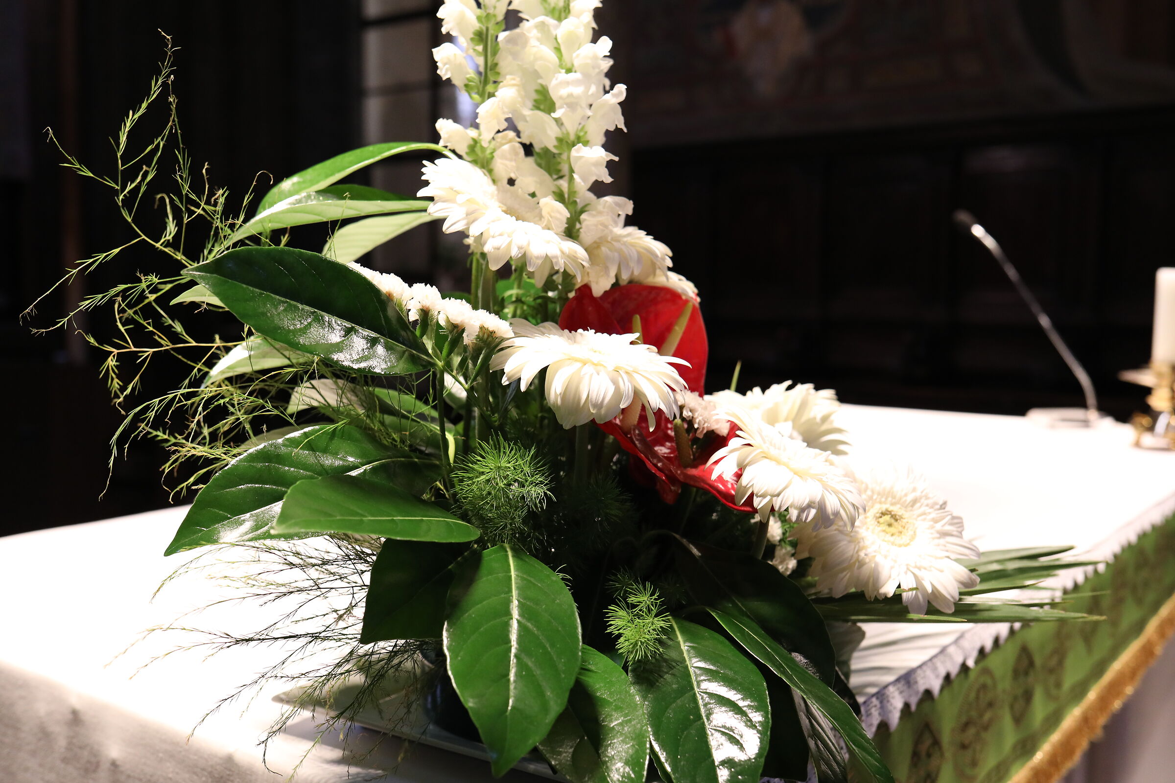 Canon 5 D IV, 35, F.2 IS Usm