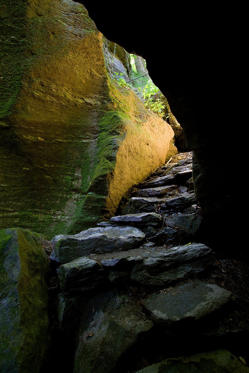 Orridi south of Uriezzo