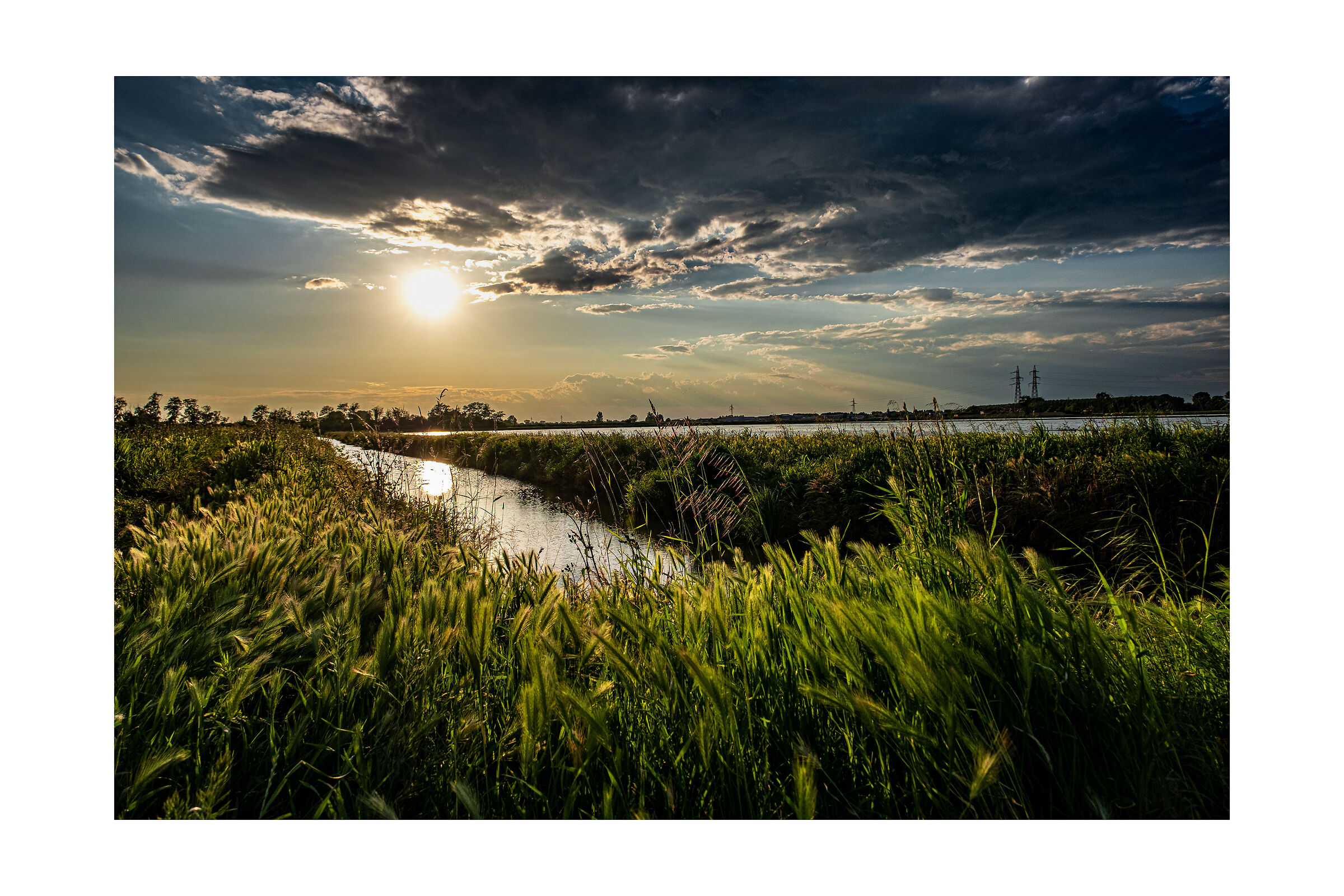 Sunset paddy