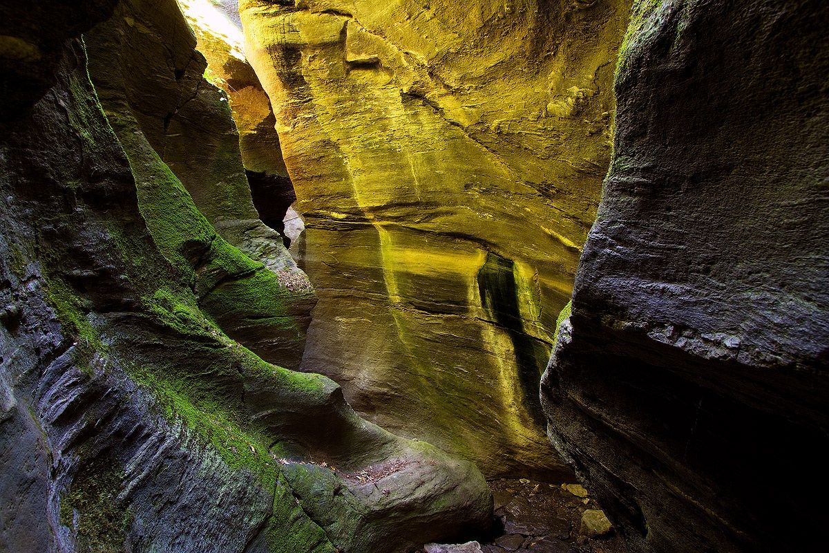 Orridi sud di uriezzo