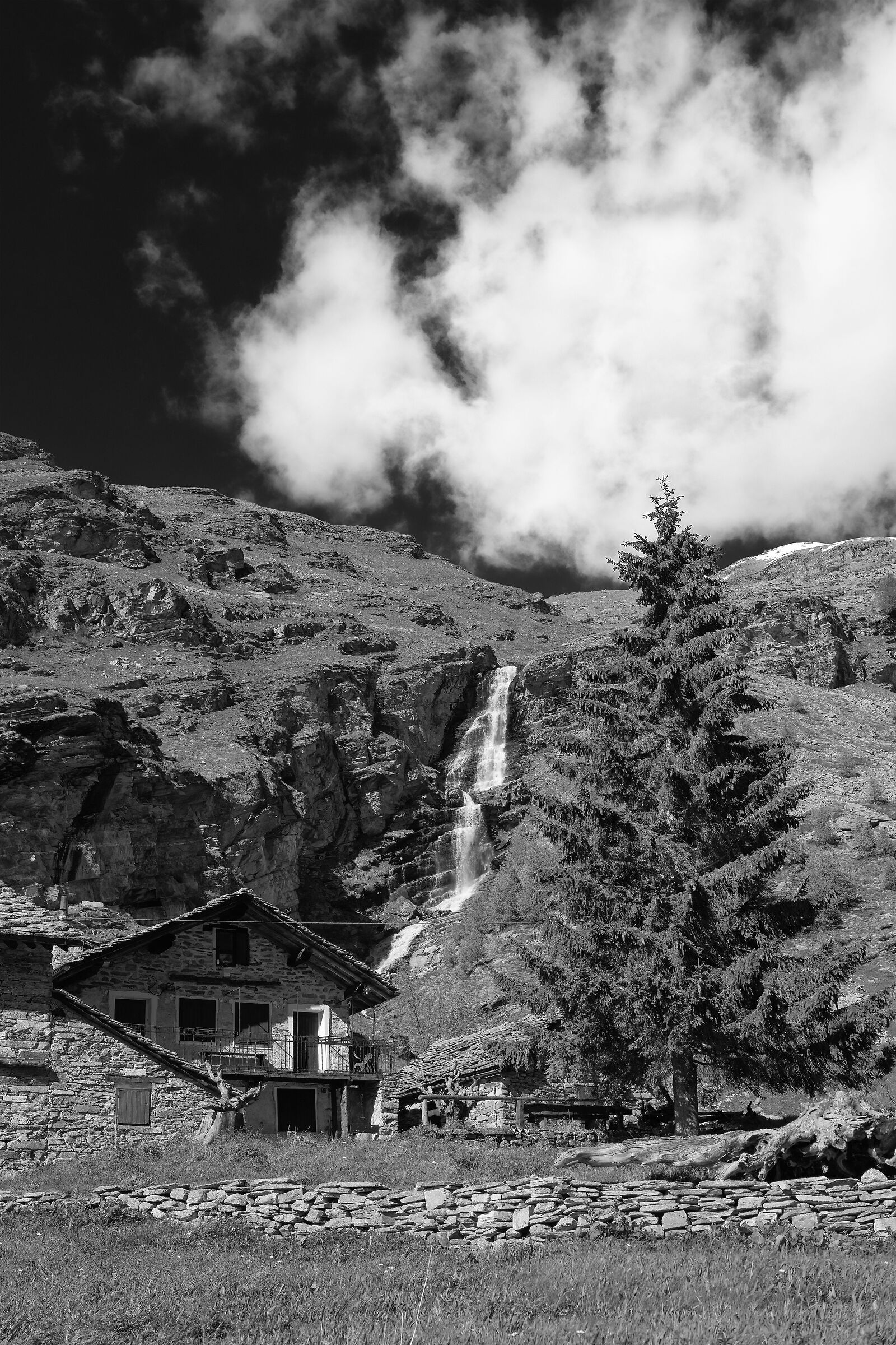 Parco Nazionale  Gran Paradiso - Piemonte