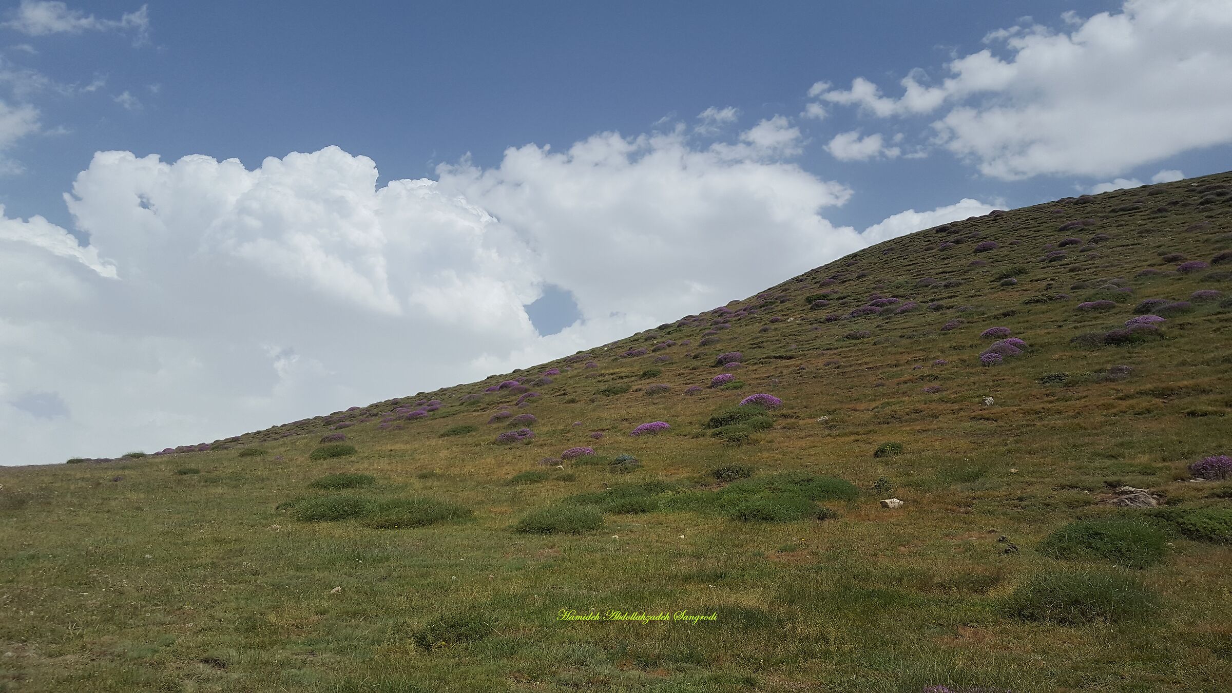 Nuovo desktop di Windows!