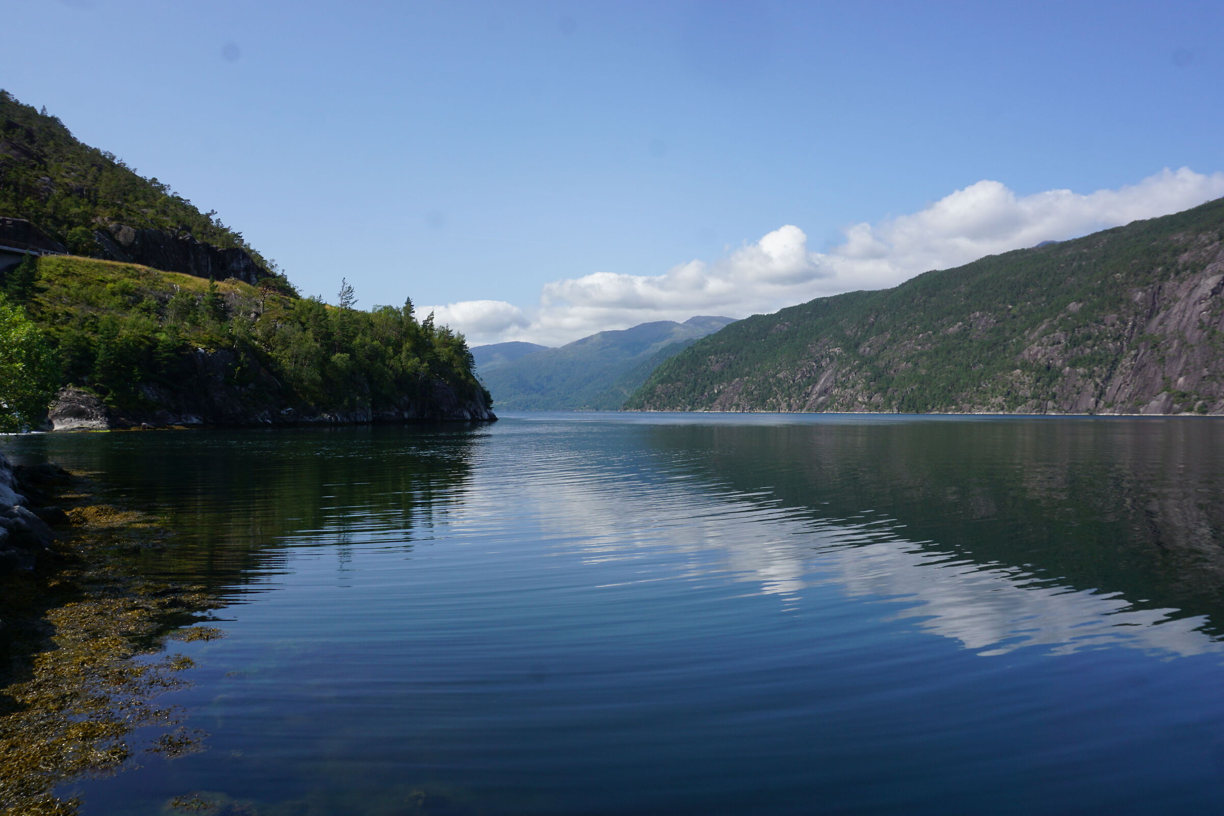 Fiordo in Norvegia