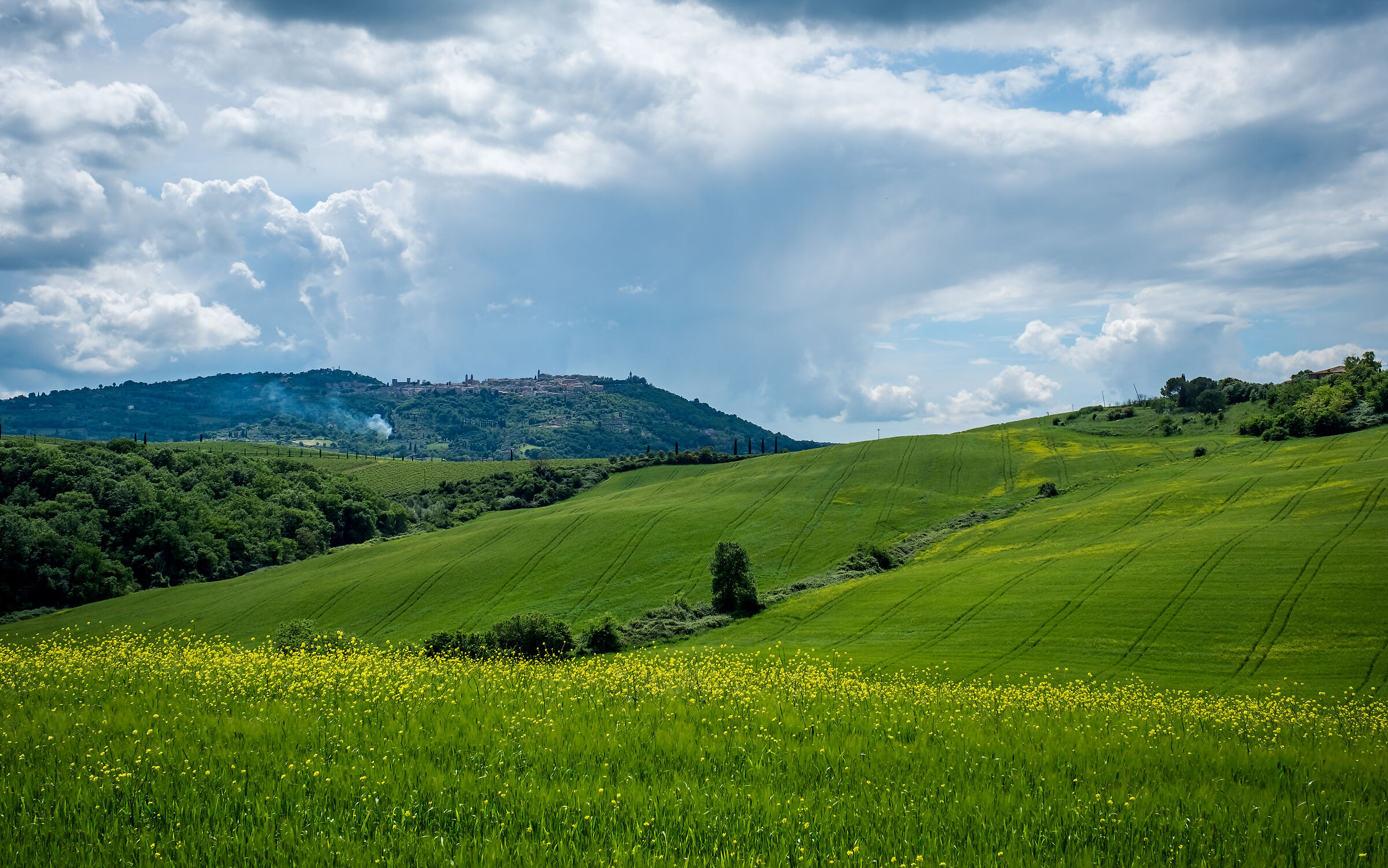 Towards Montalcino