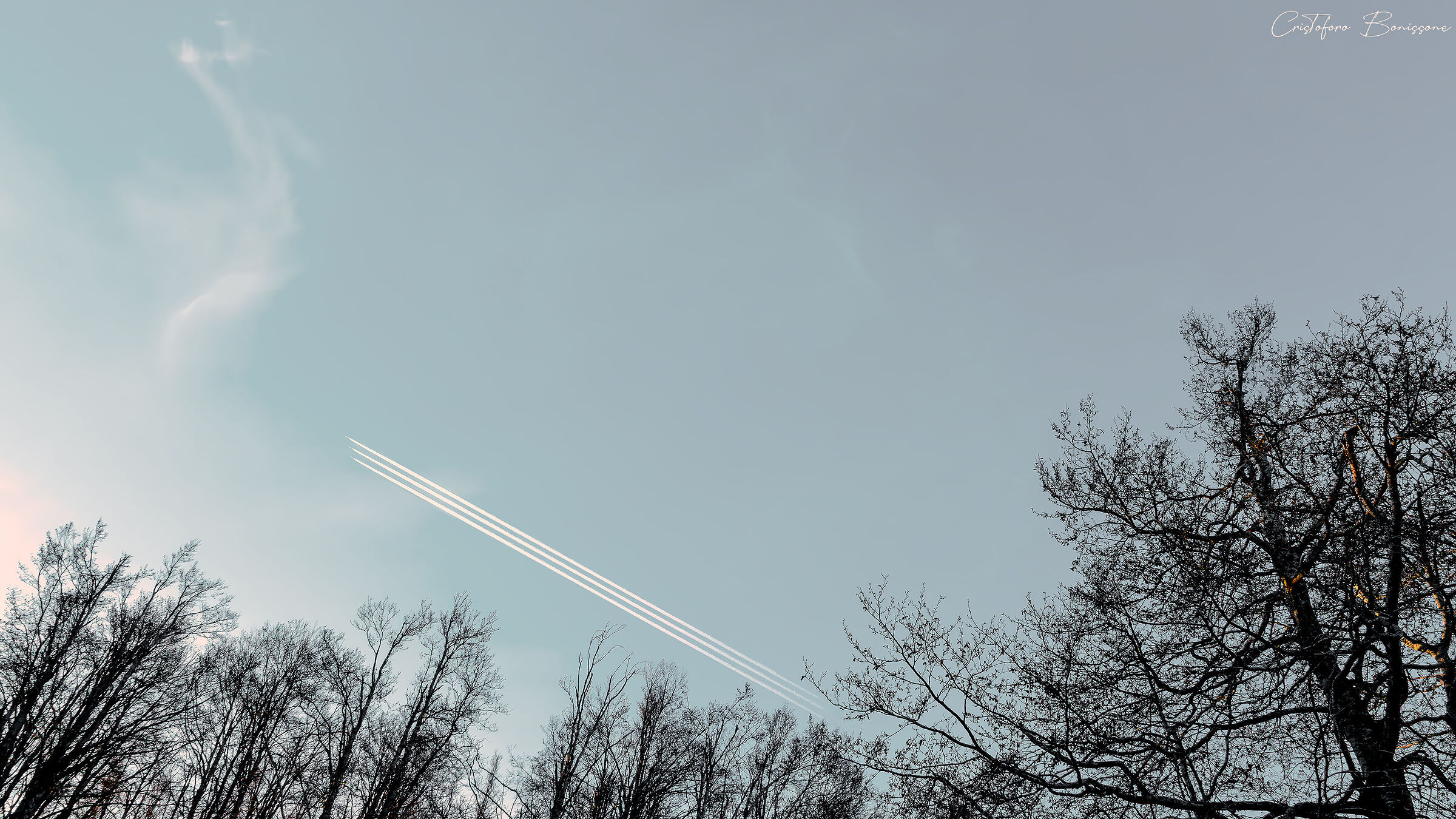 The Three Trails