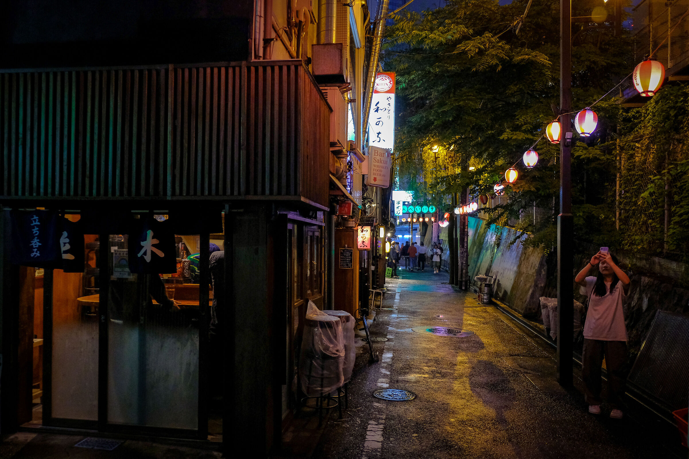 Tokyo Roads