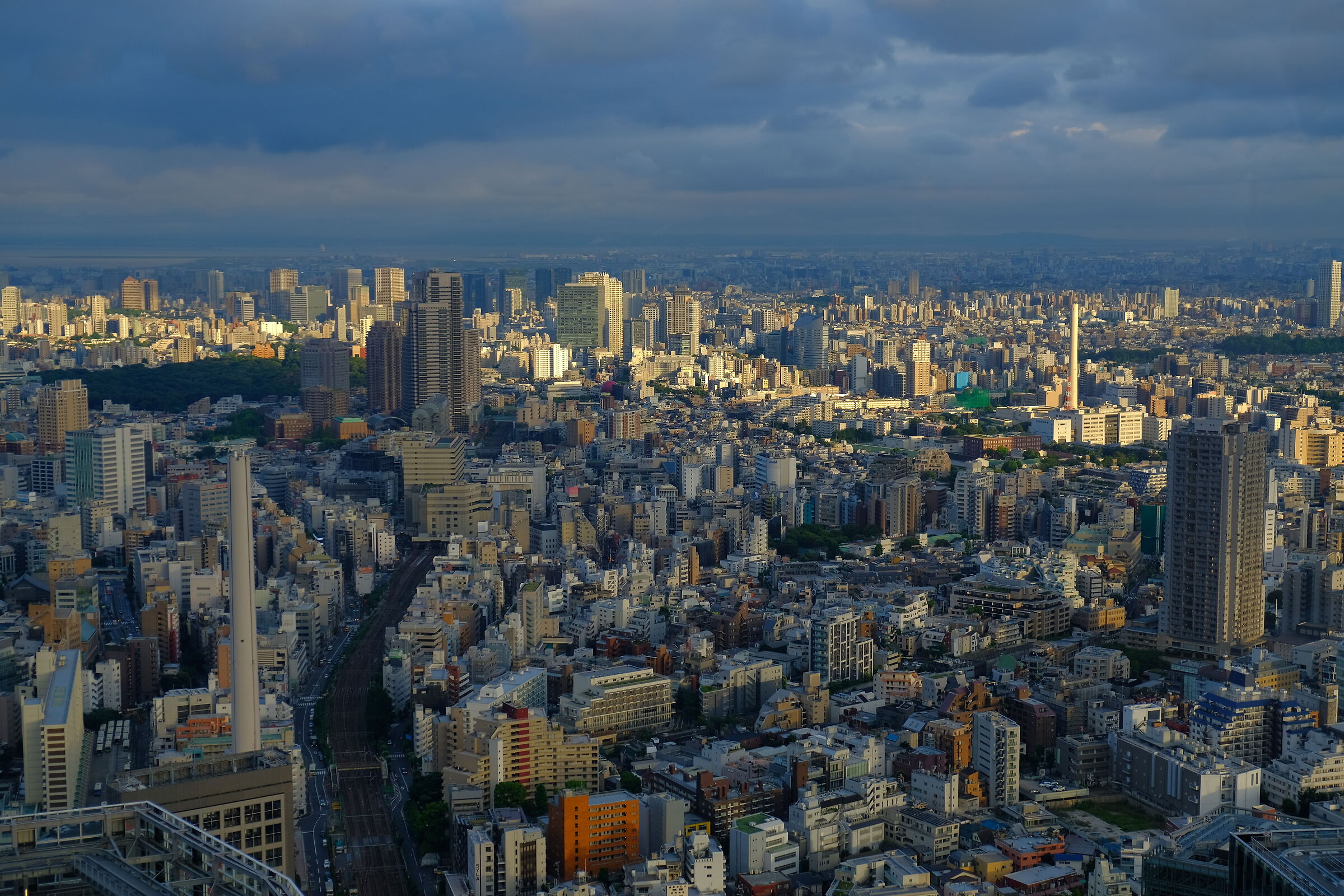 Tokyo Skyline