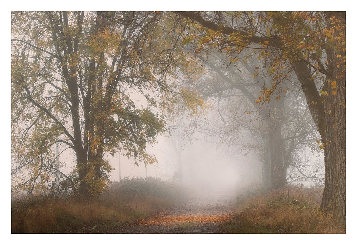 Autumn extracts