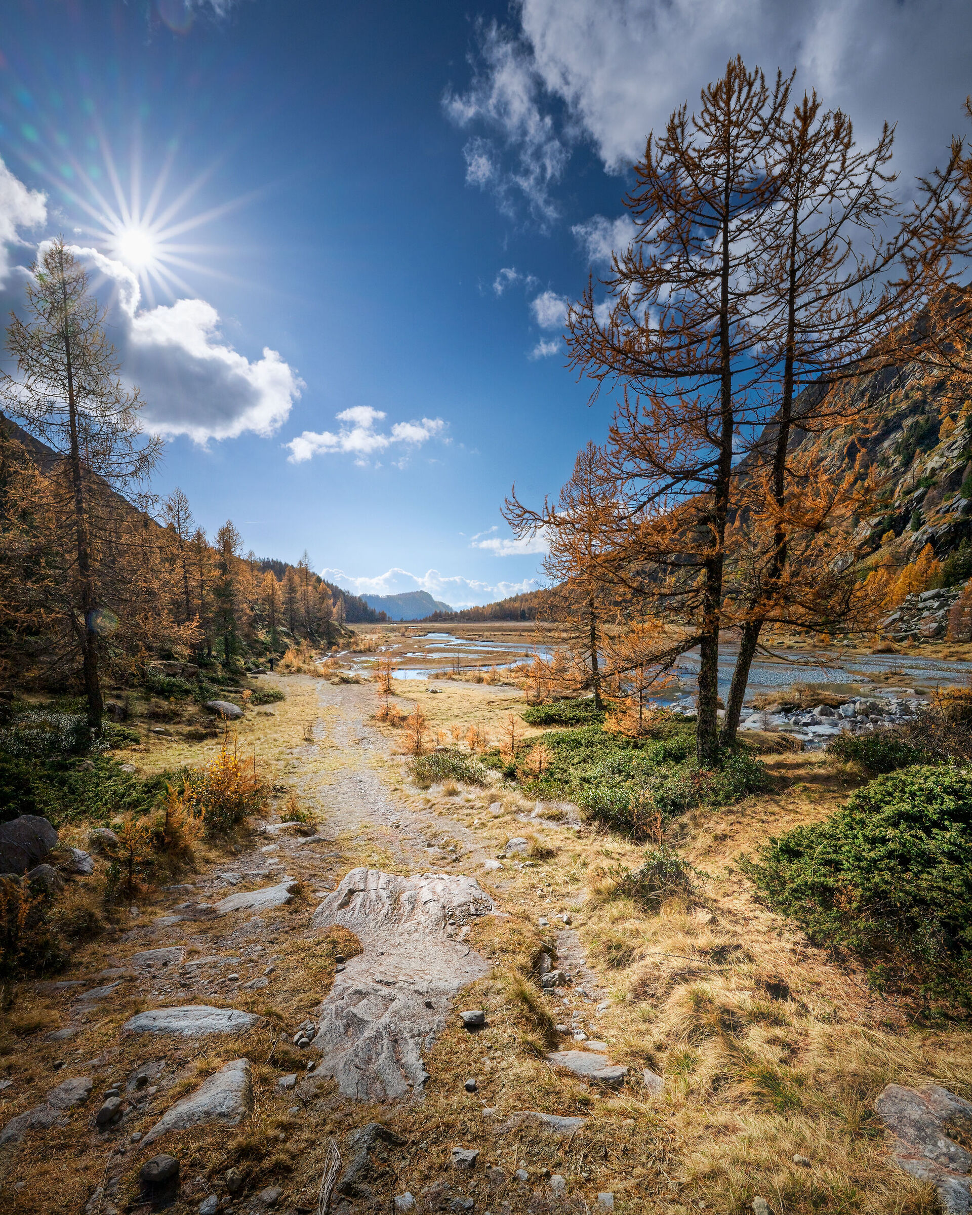 Autumn memory