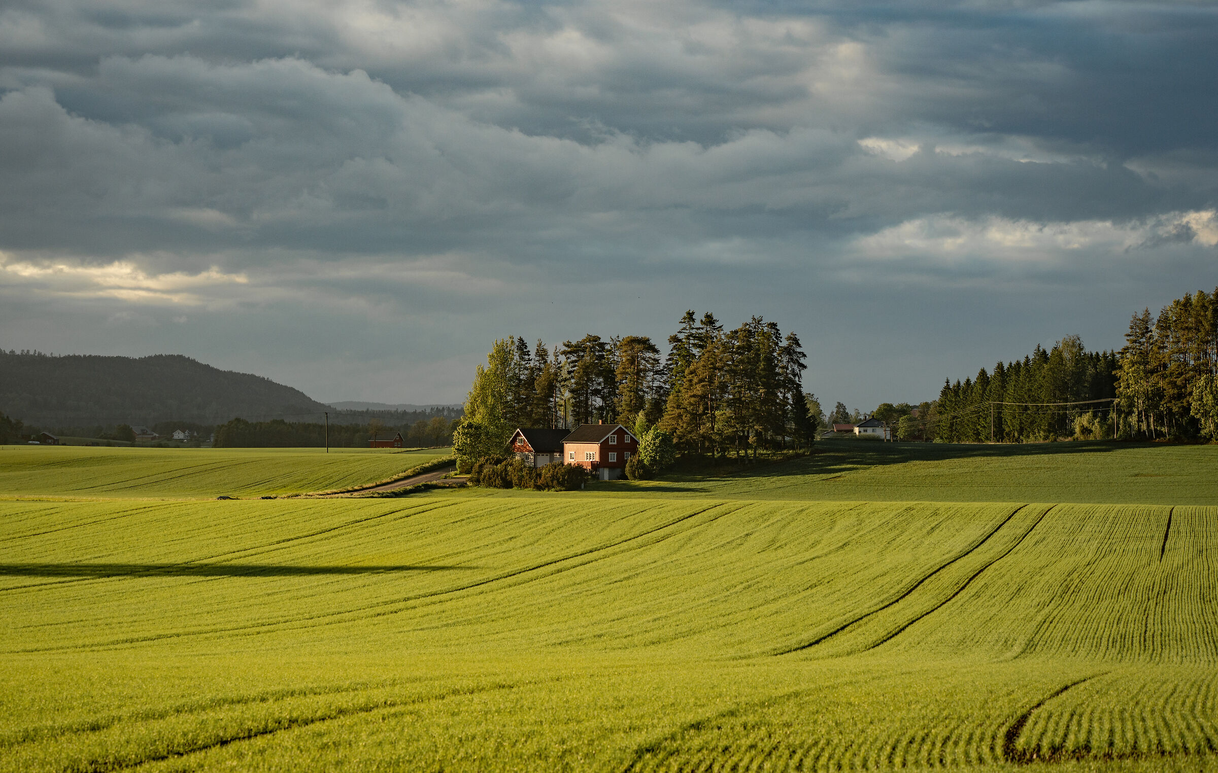Countryside near Oslo