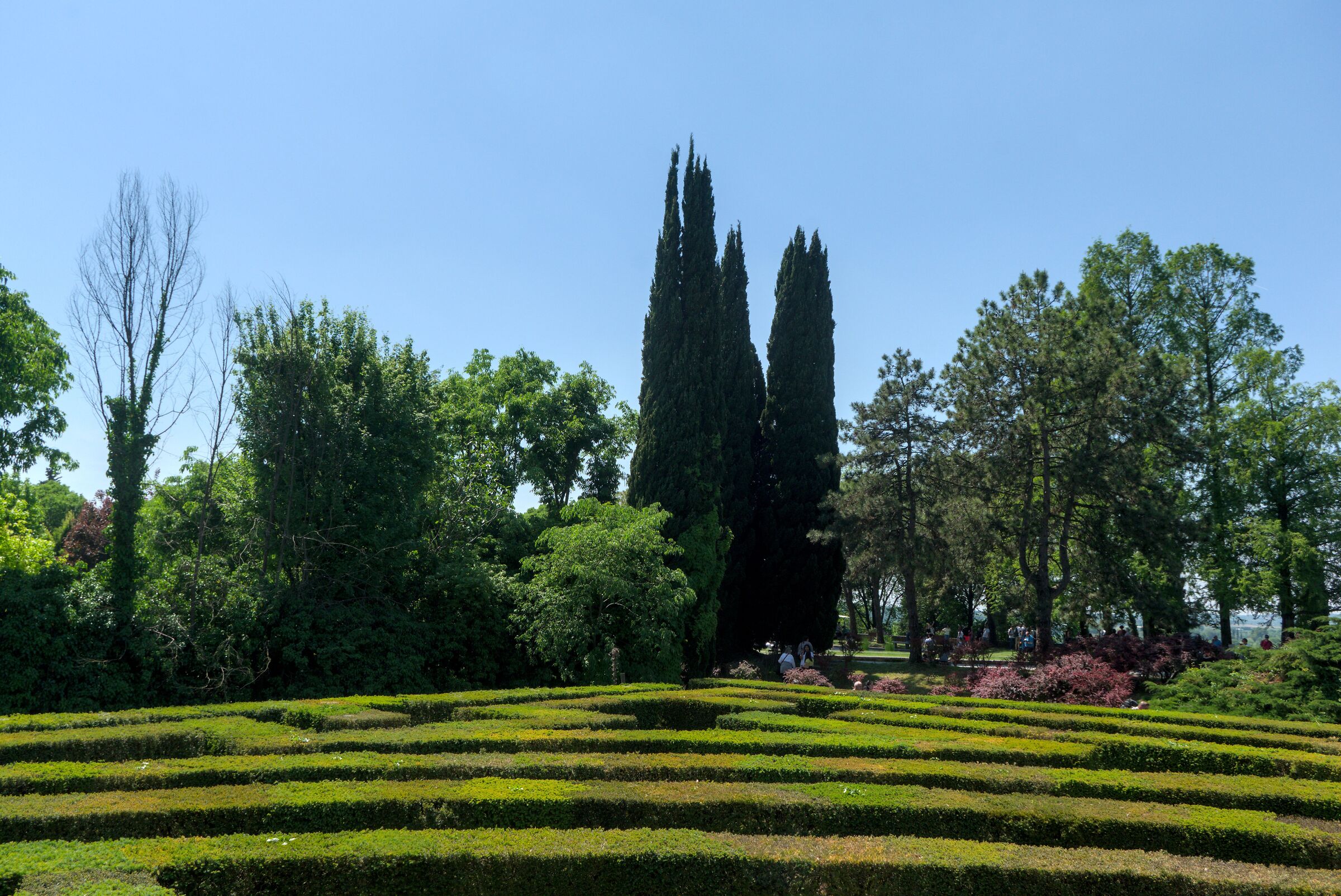Parco Sigurtà labyrinth