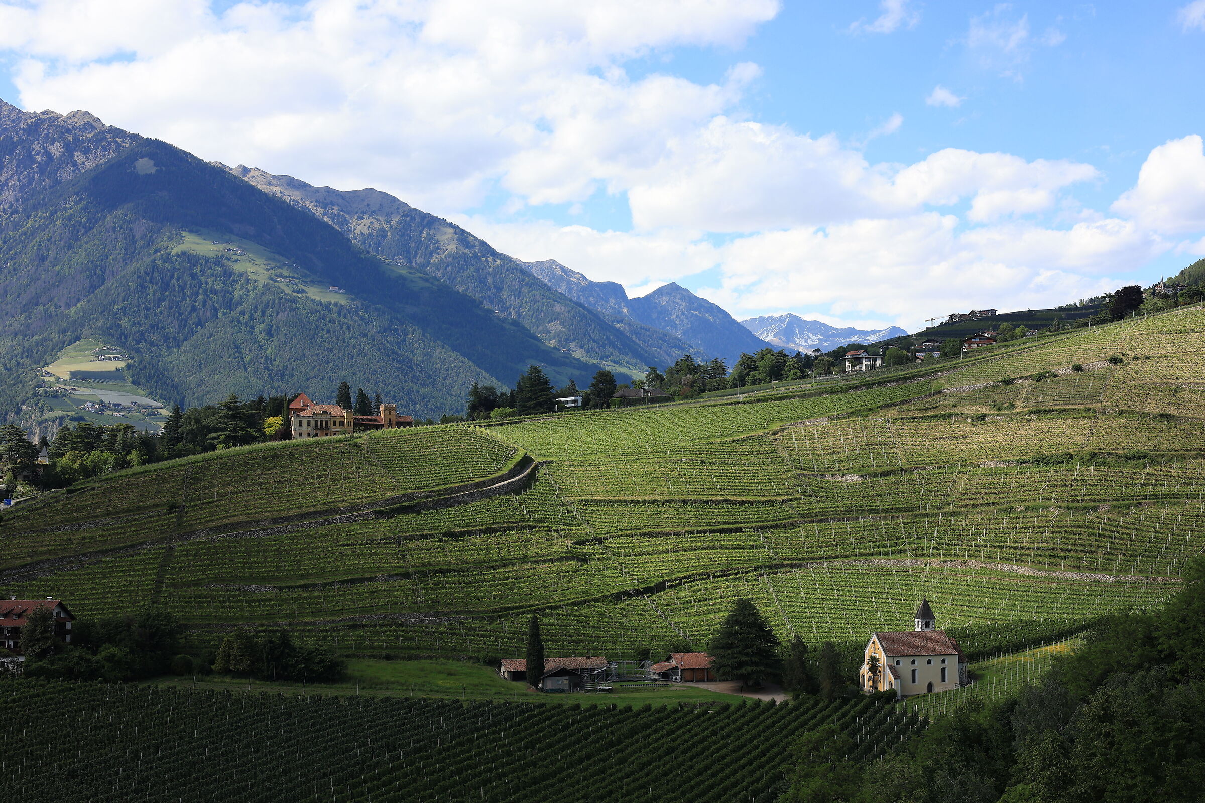 View from Trauttmansdorff Castle - Merano
