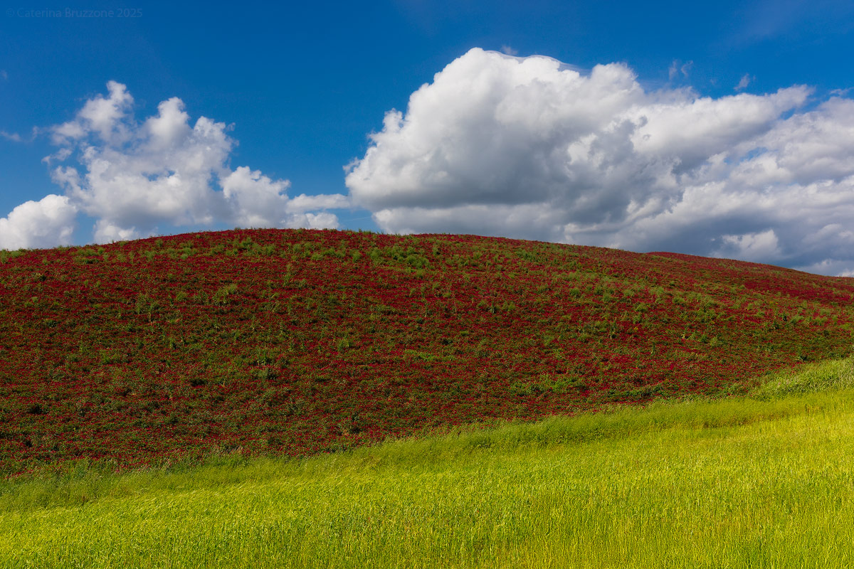 Simply Tuscany