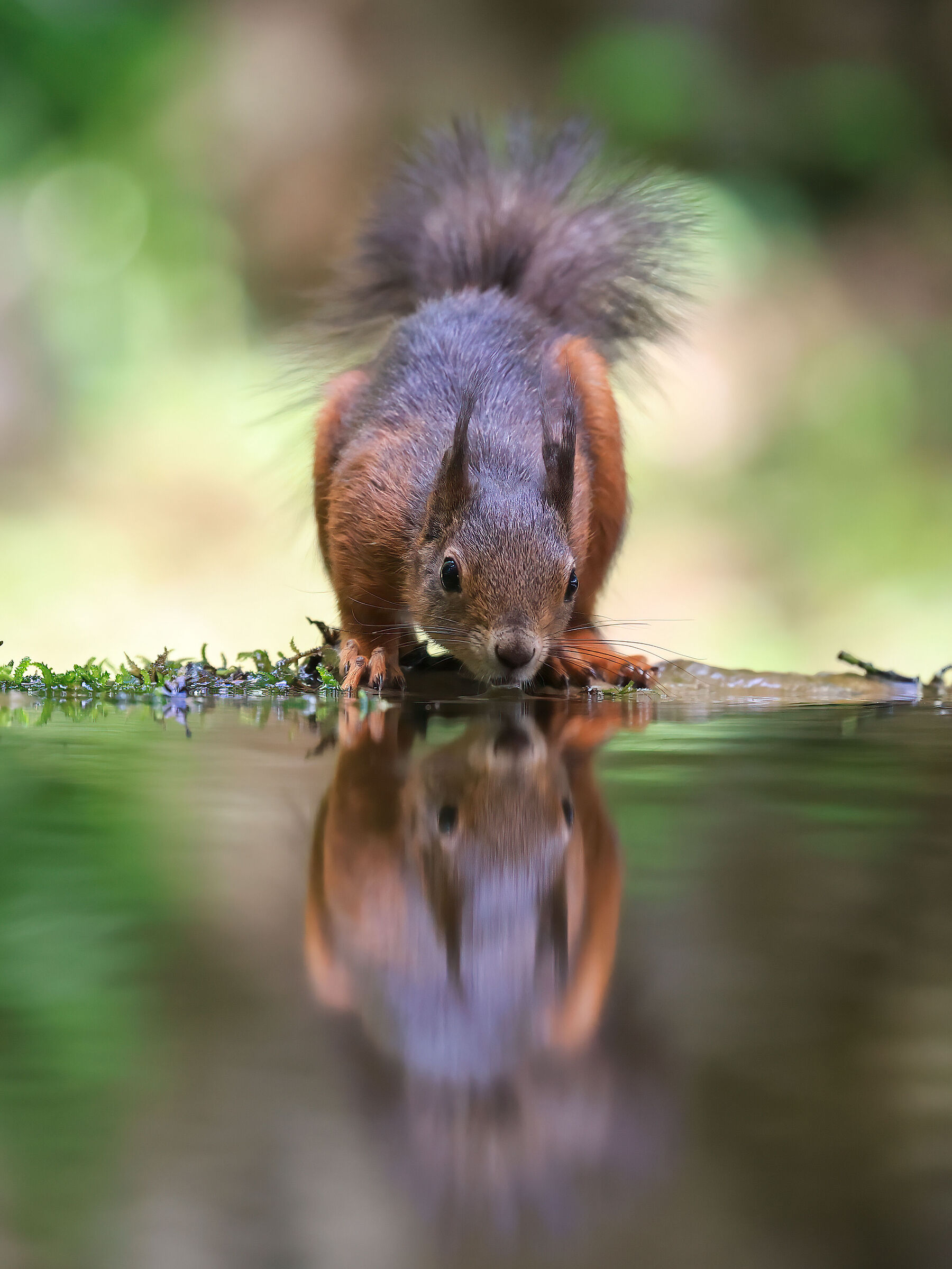 Ma quanto sono bello?...