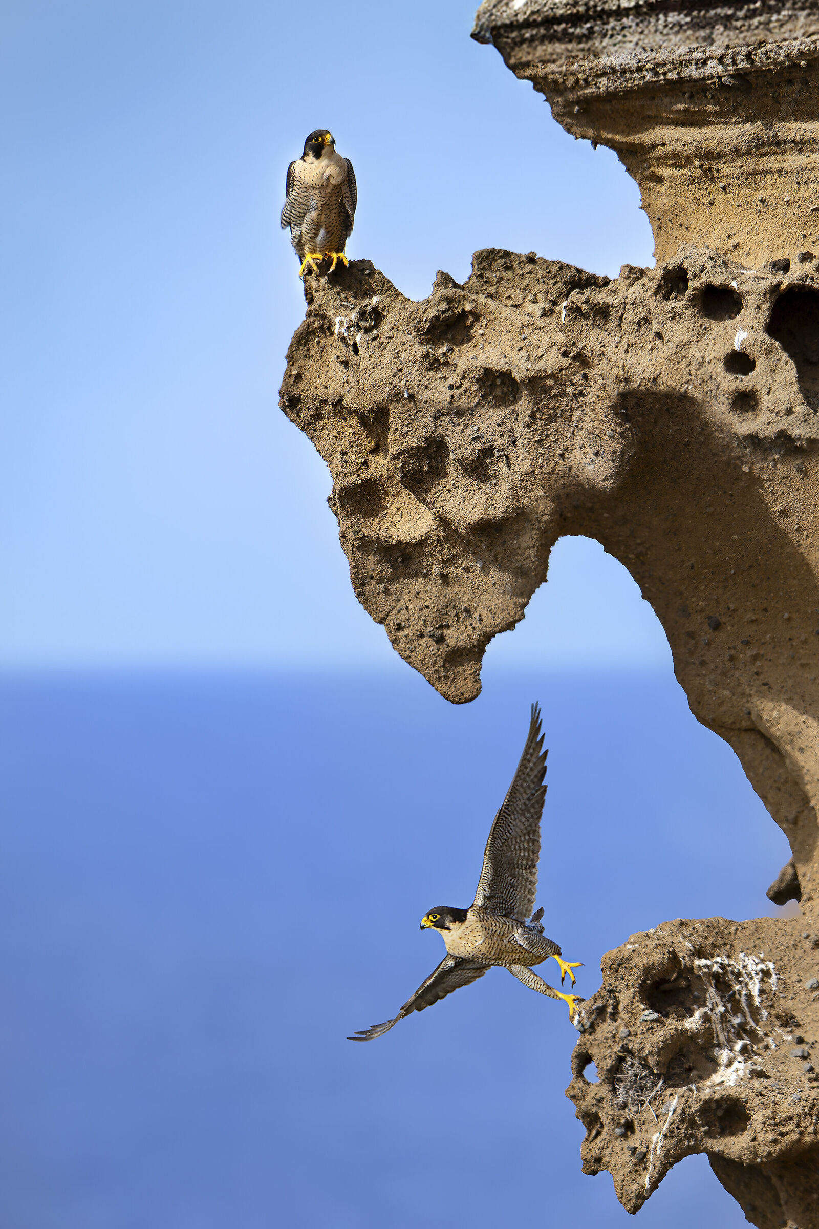 A strapiombo sul mare