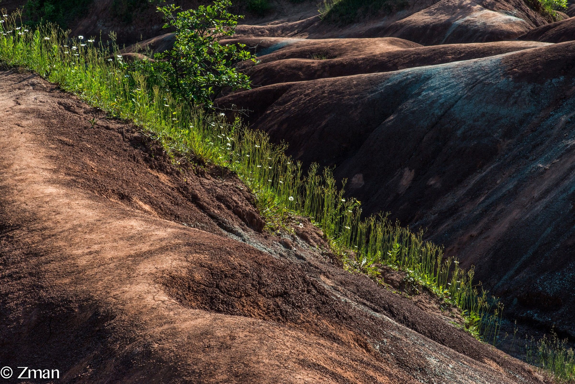 Terra morto vicino a Oakville