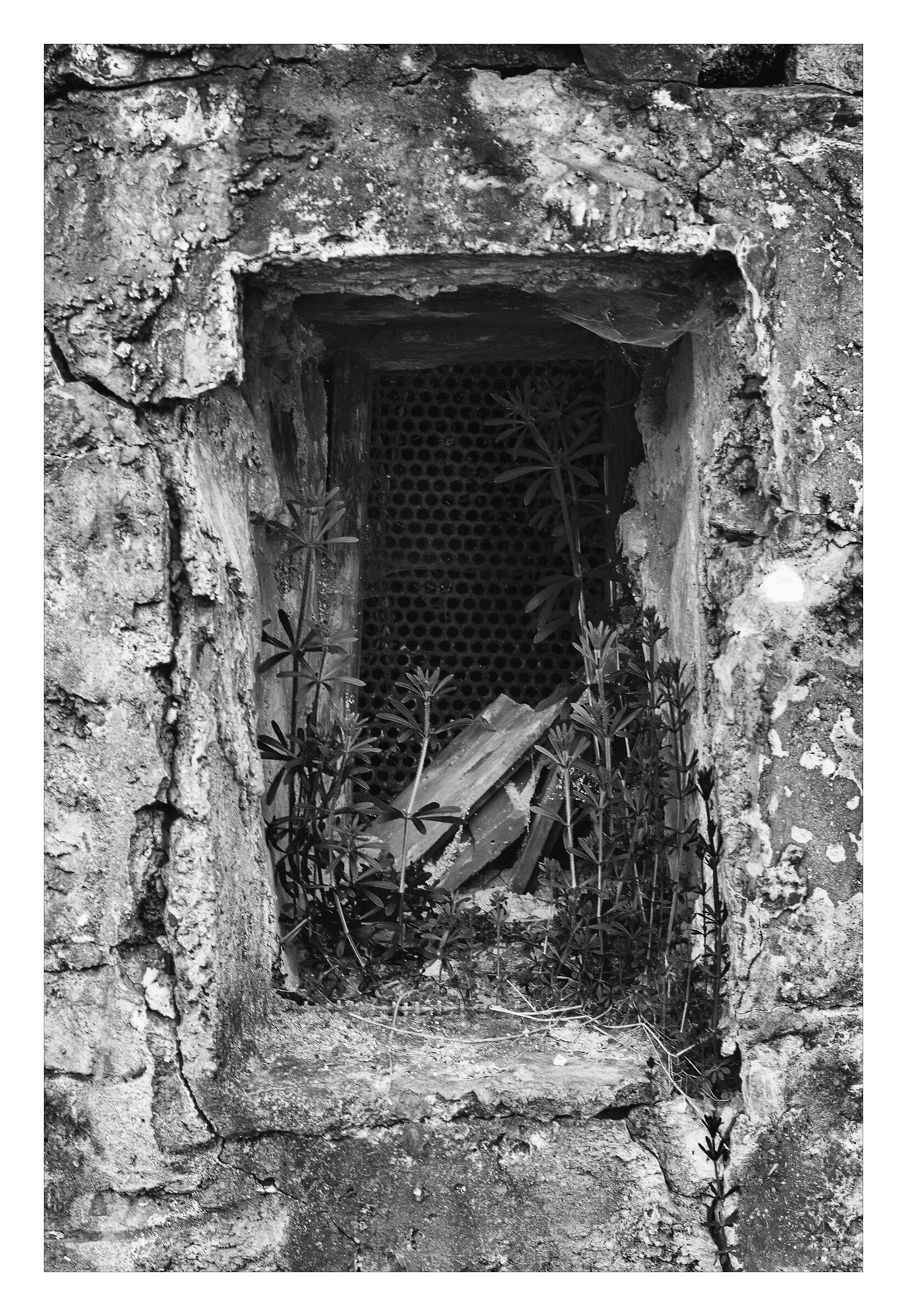 Forgotten window