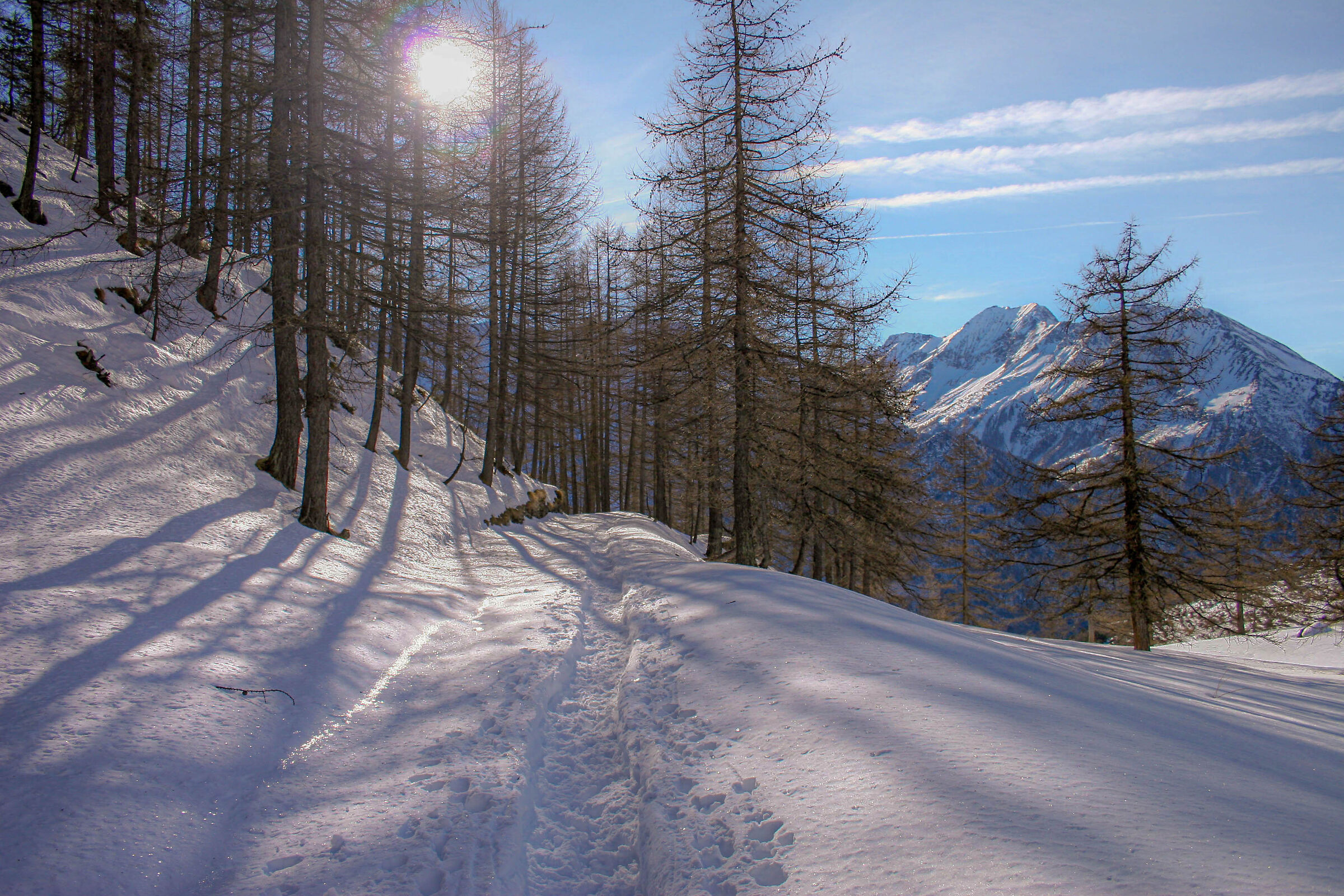 parco orsiera Rocciavrè