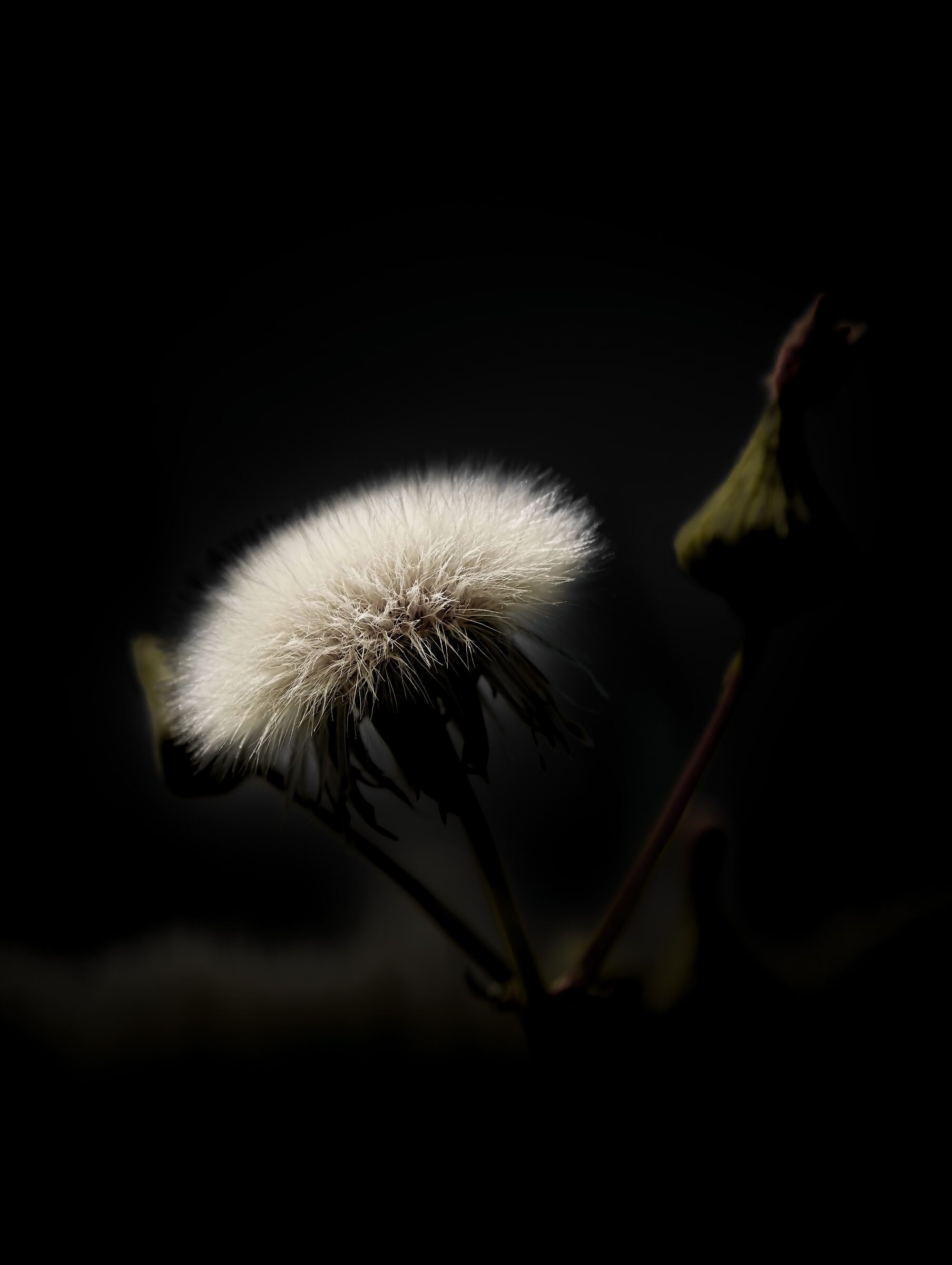 Untitled Photo