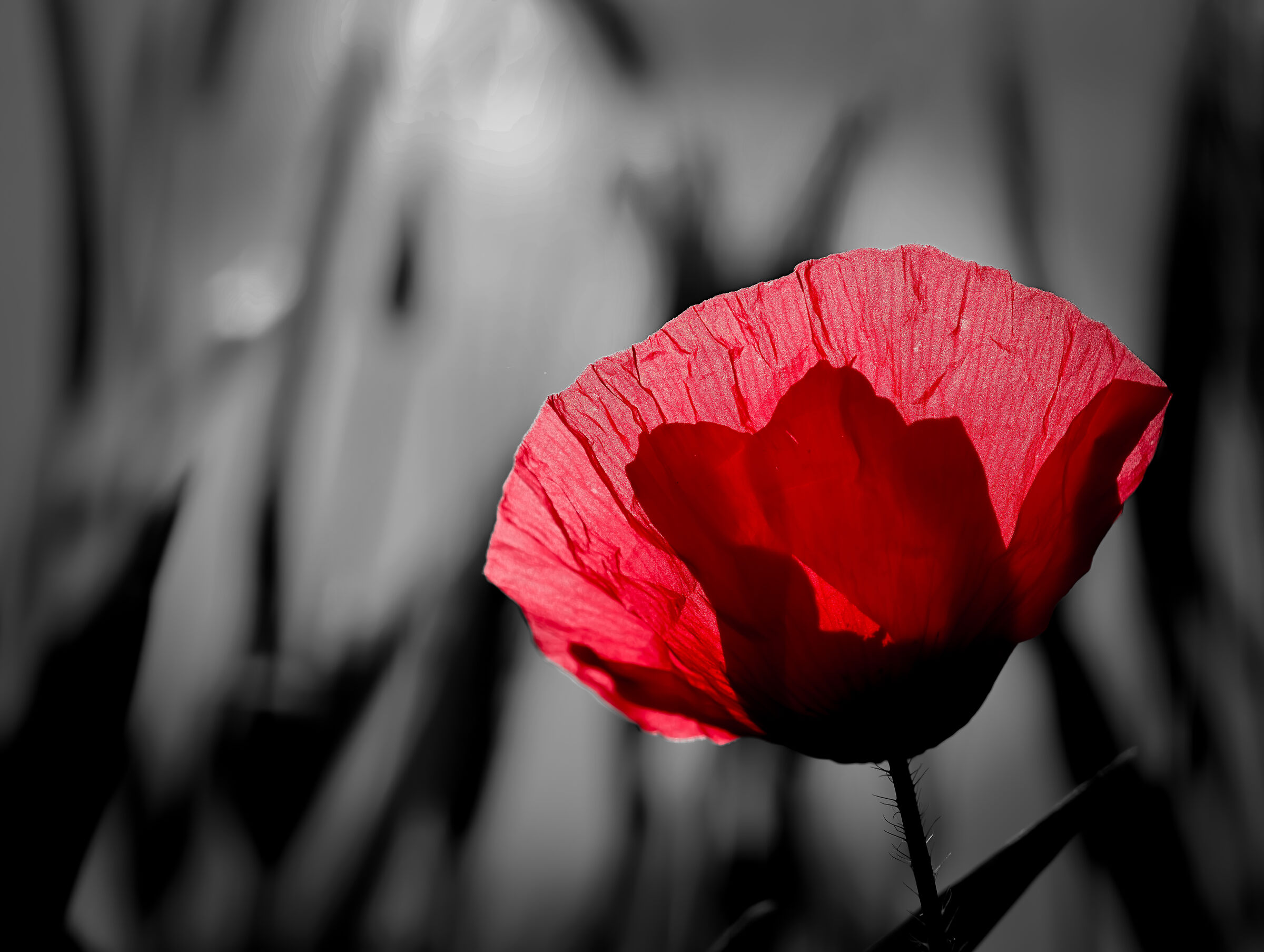 Untitled Photo