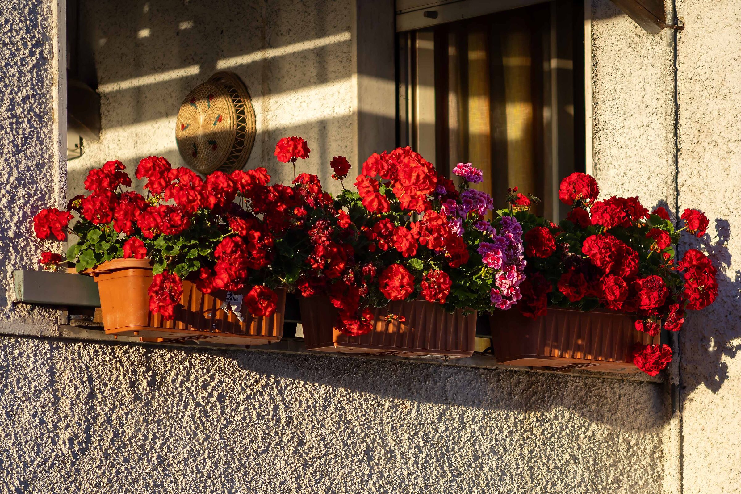 Try Carl Zeiss Sonnar 4/80-200