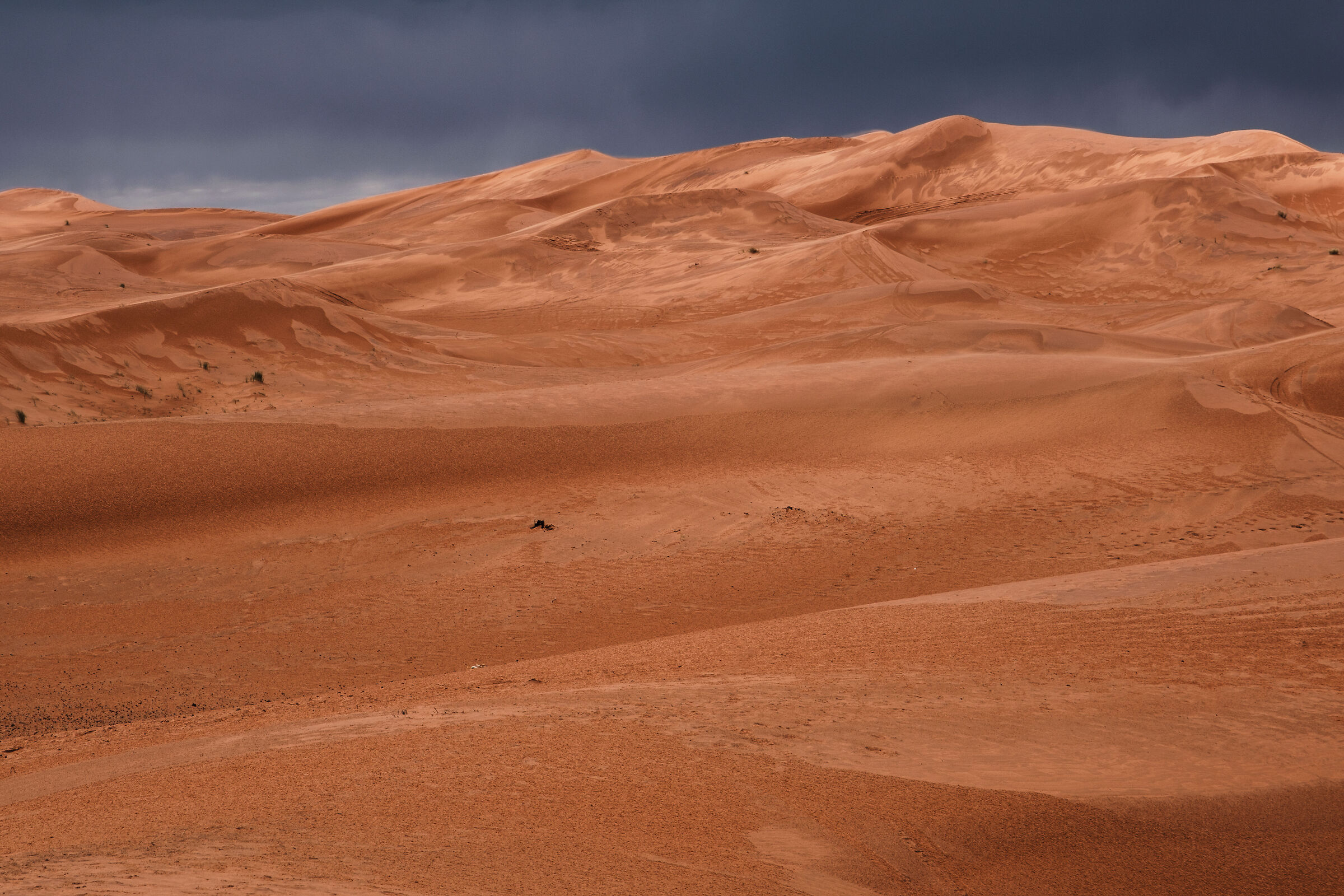 Onde del deserto