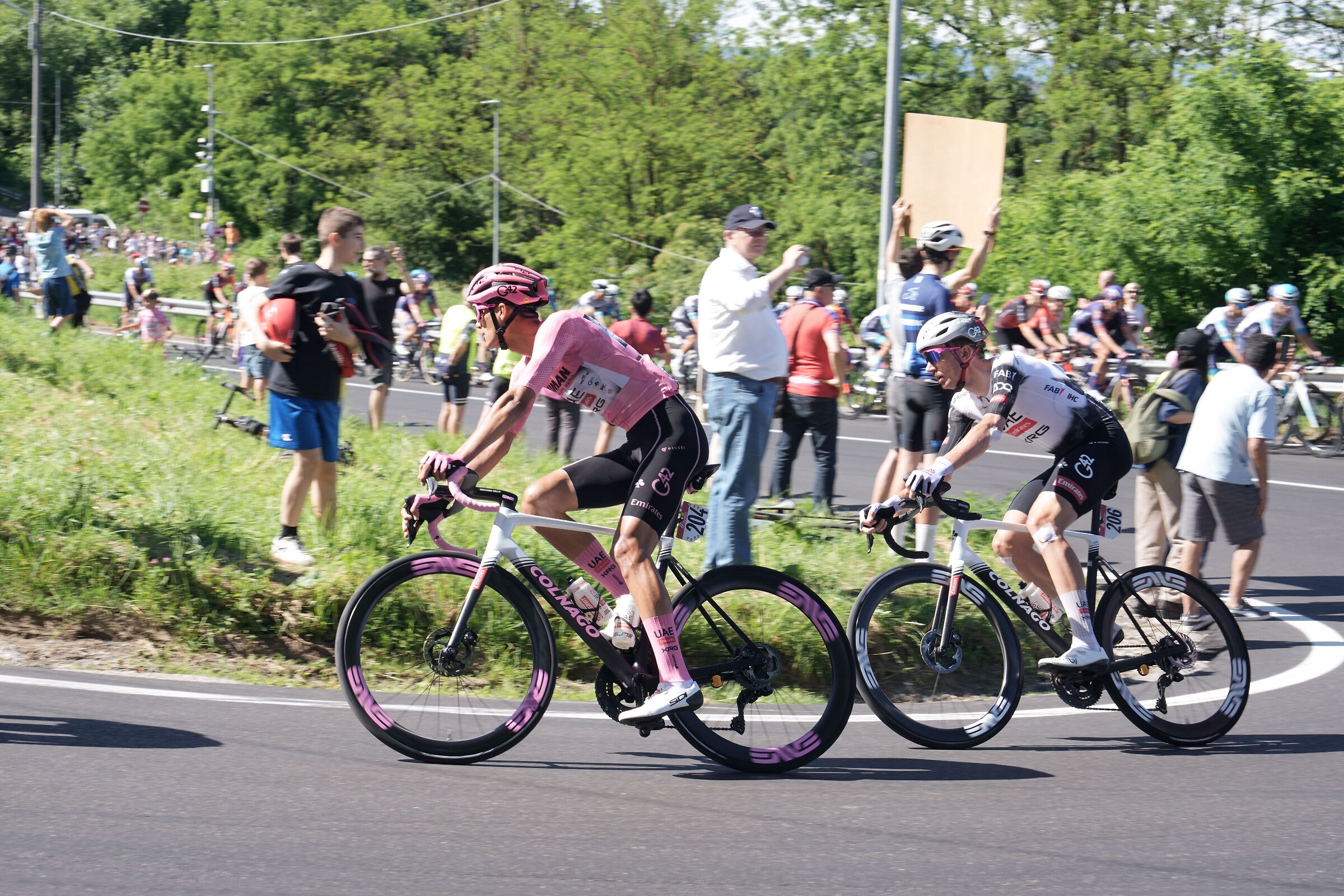 pink jersey on the hairpin bends of Albiate
