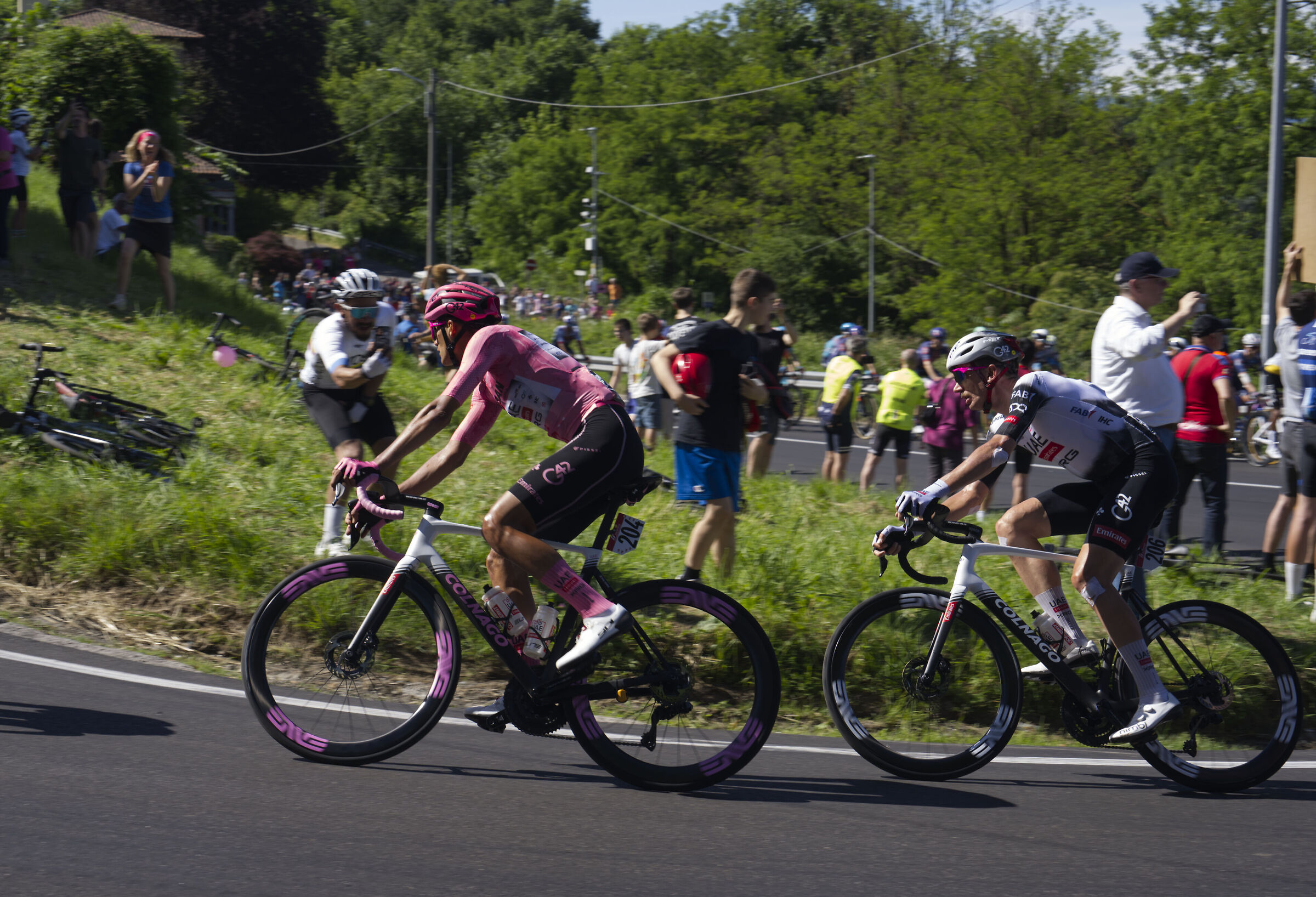 Pink jersey on the hairpin bends of Albiate (MB)