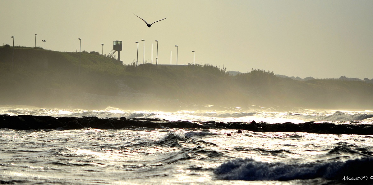 Nettuno verso poligono