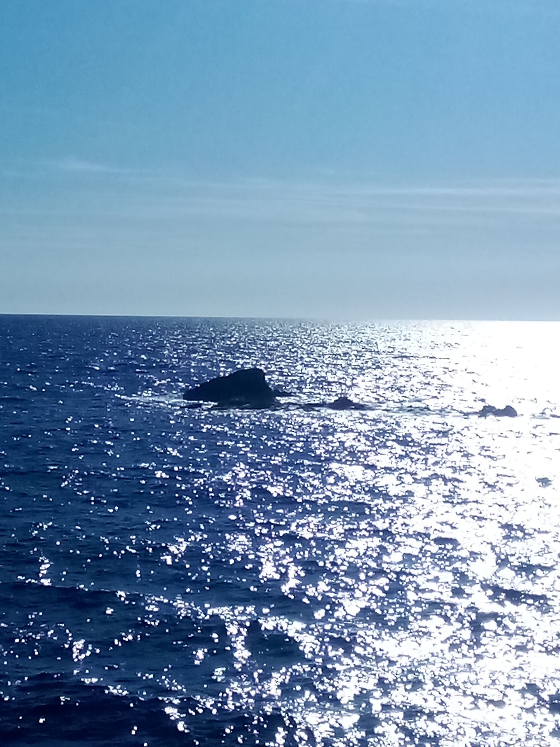 In the middle of the sea of Forio.