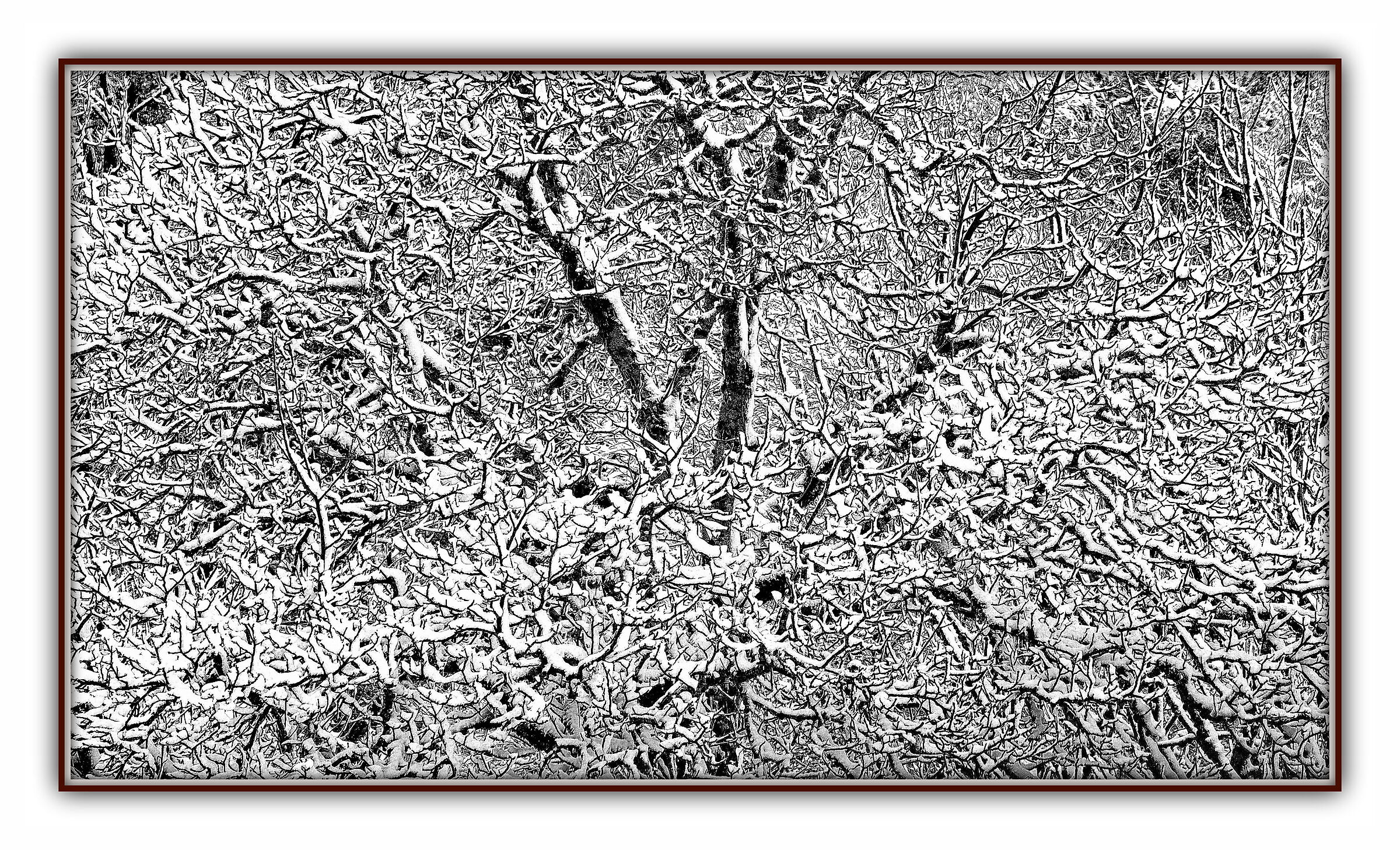 White tangle